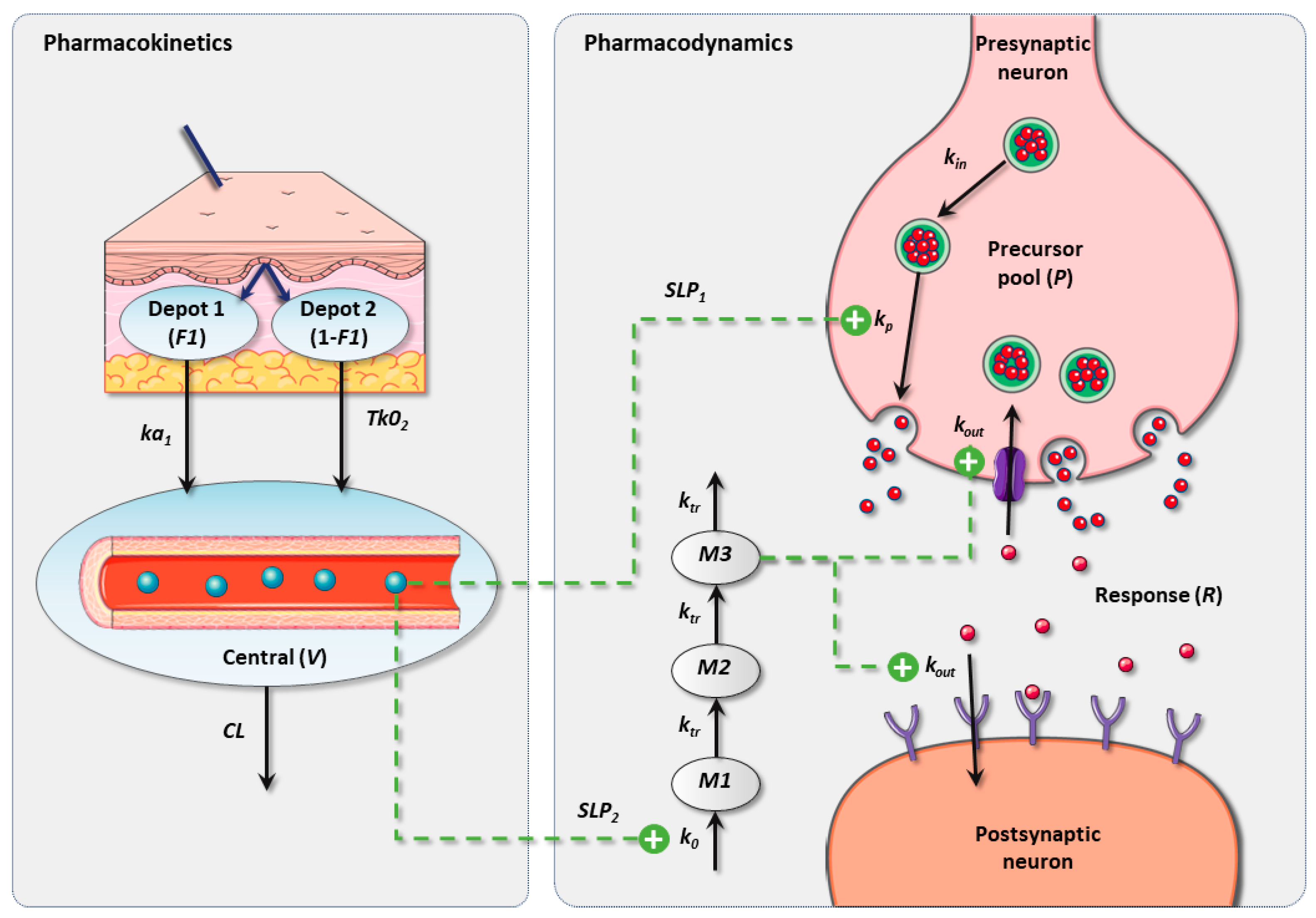 Pharmaceutics 16 01101 g001