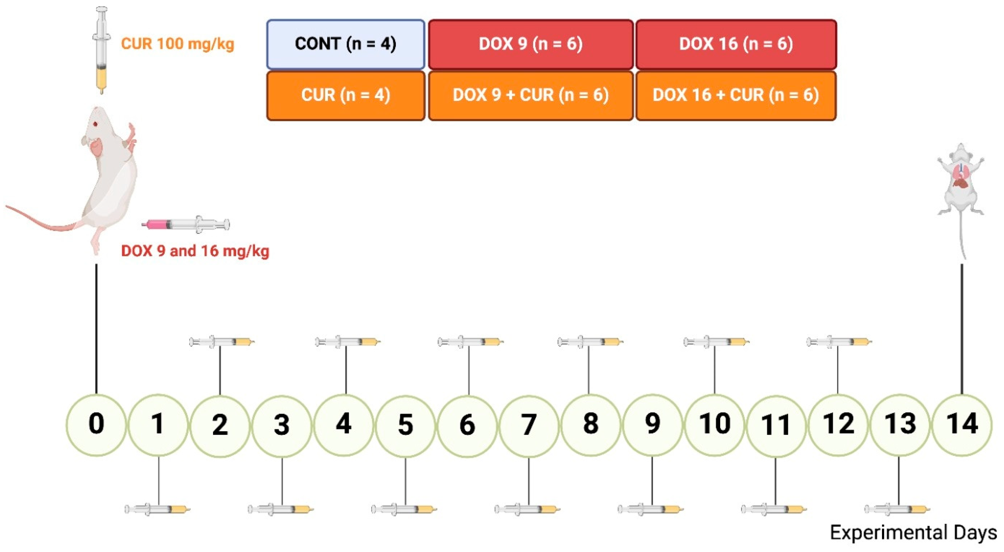Pharmaceutics 16 01105 g001 Pharmaceutics 16 01105 g001