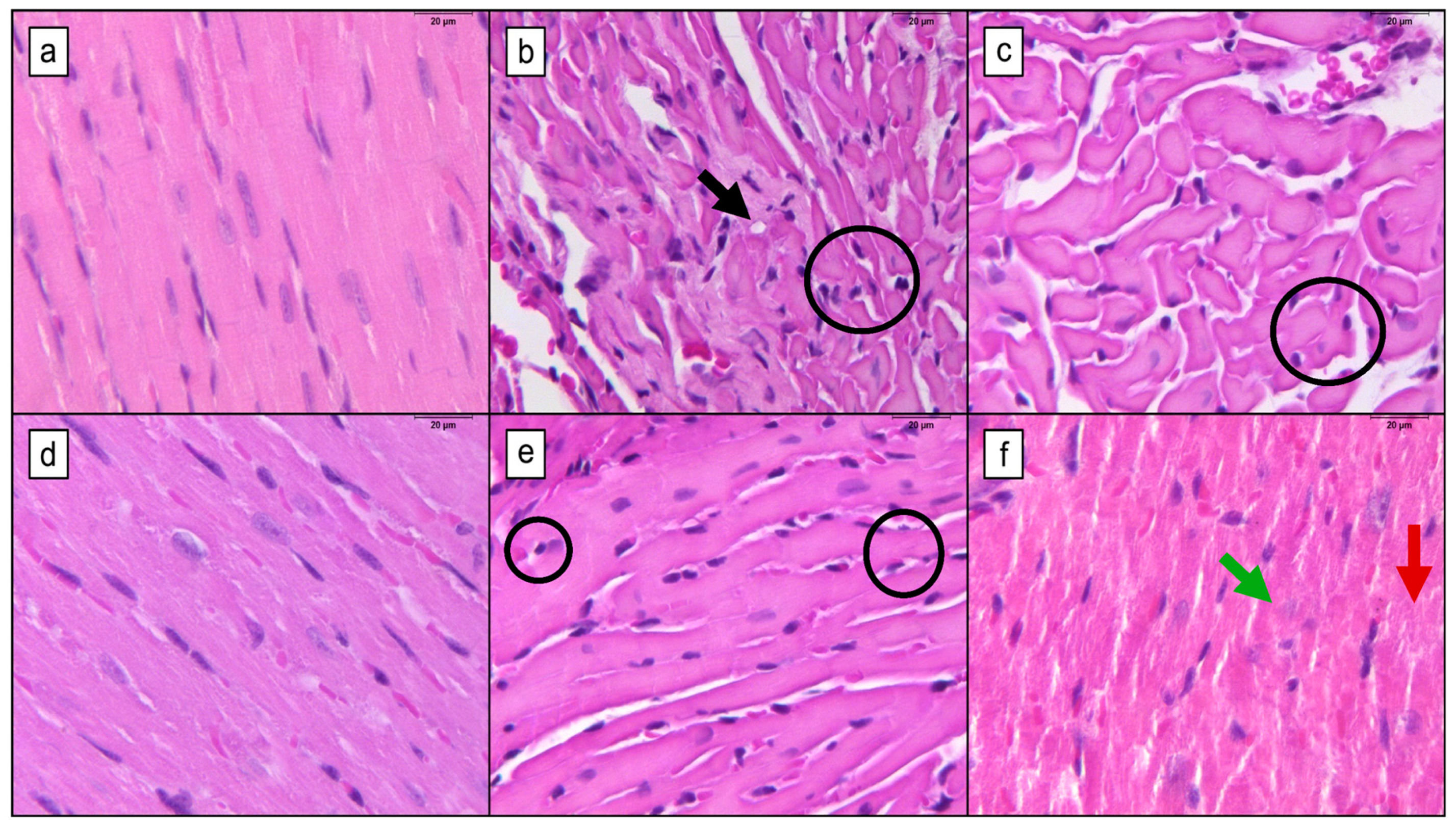 Pharmaceutics 16 01105 g003 Pharmaceutics 16 01105 g003