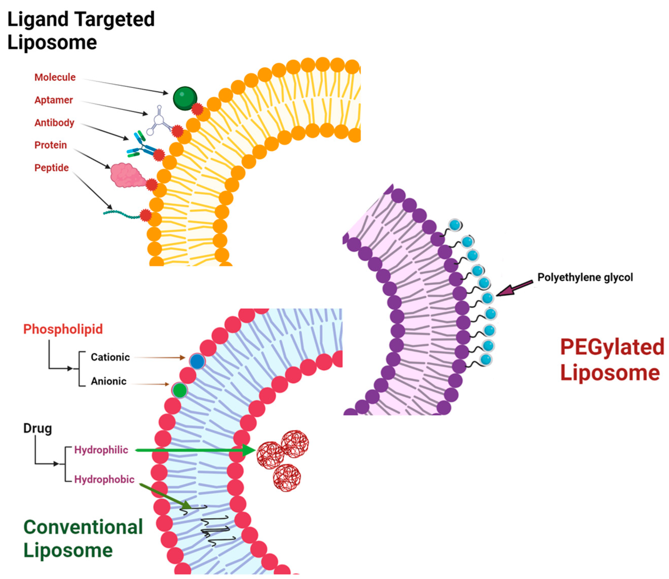 Transforming Medicine with Nanobiotechnology: Nanocarriers