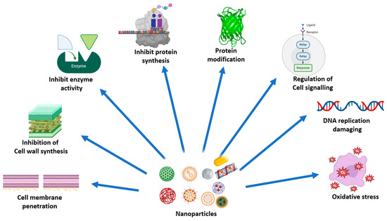 洋書 BIOREVERSIBLE CARRIERS IN DRUG DESIGN Design and Development of Nanomaterial-Based Drug Carriers