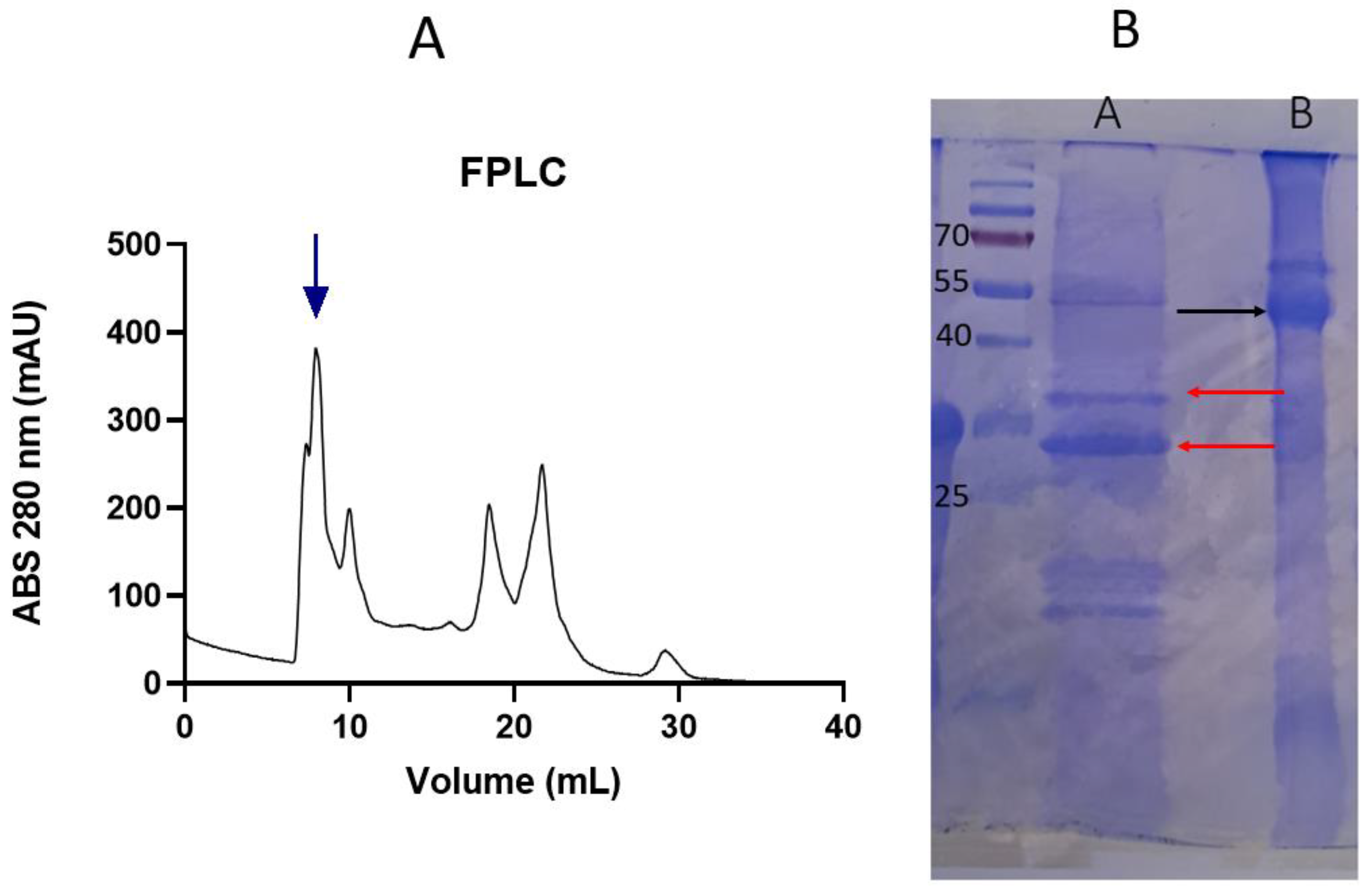Pharmaceutics 16 01118 g001