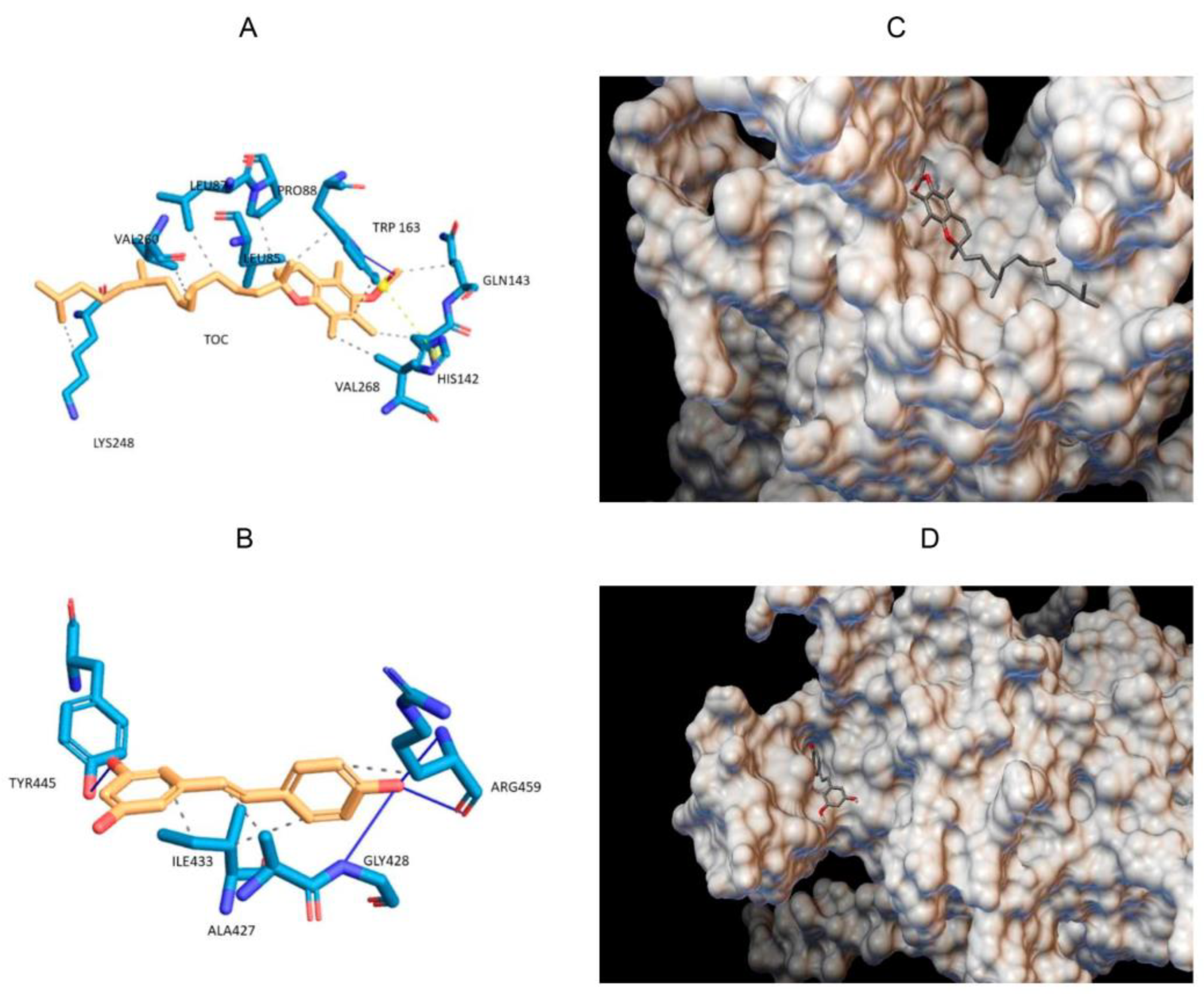 Pharmaceutics 16 01118 g002