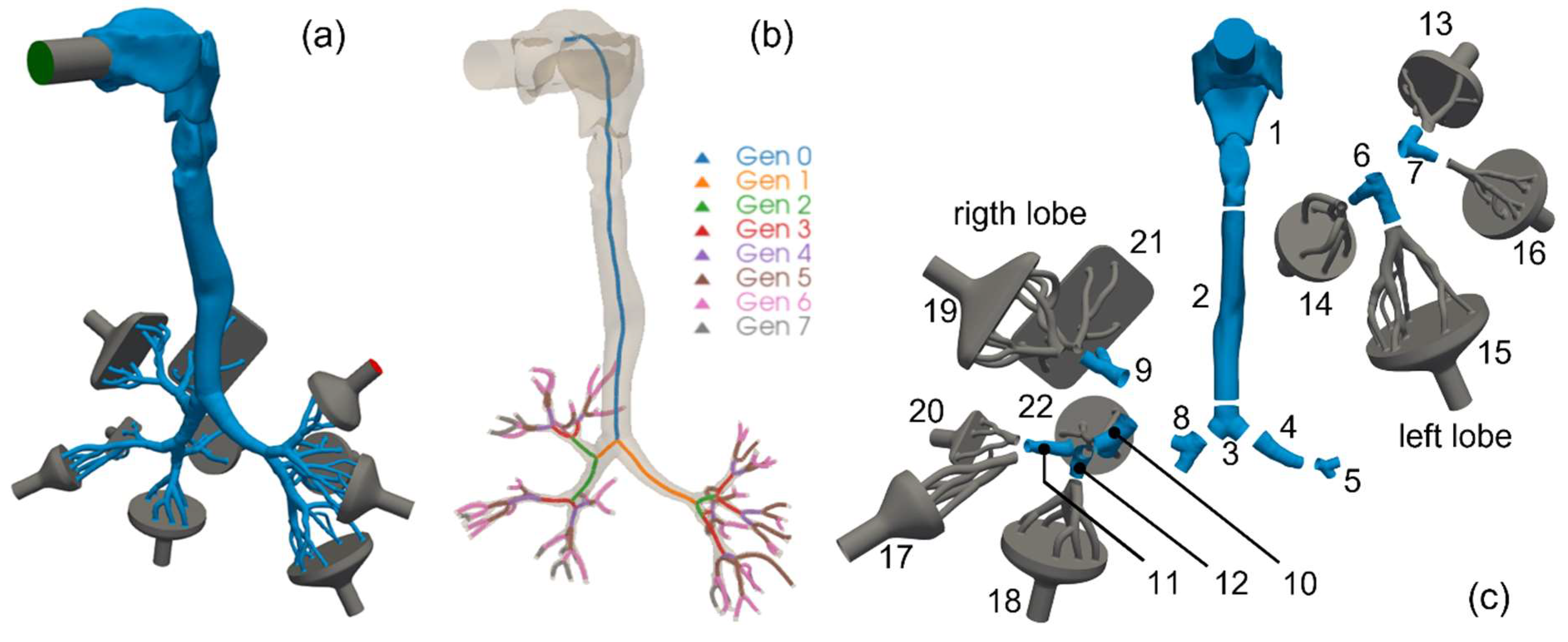 Pharmaceutics 16 01119 g001
