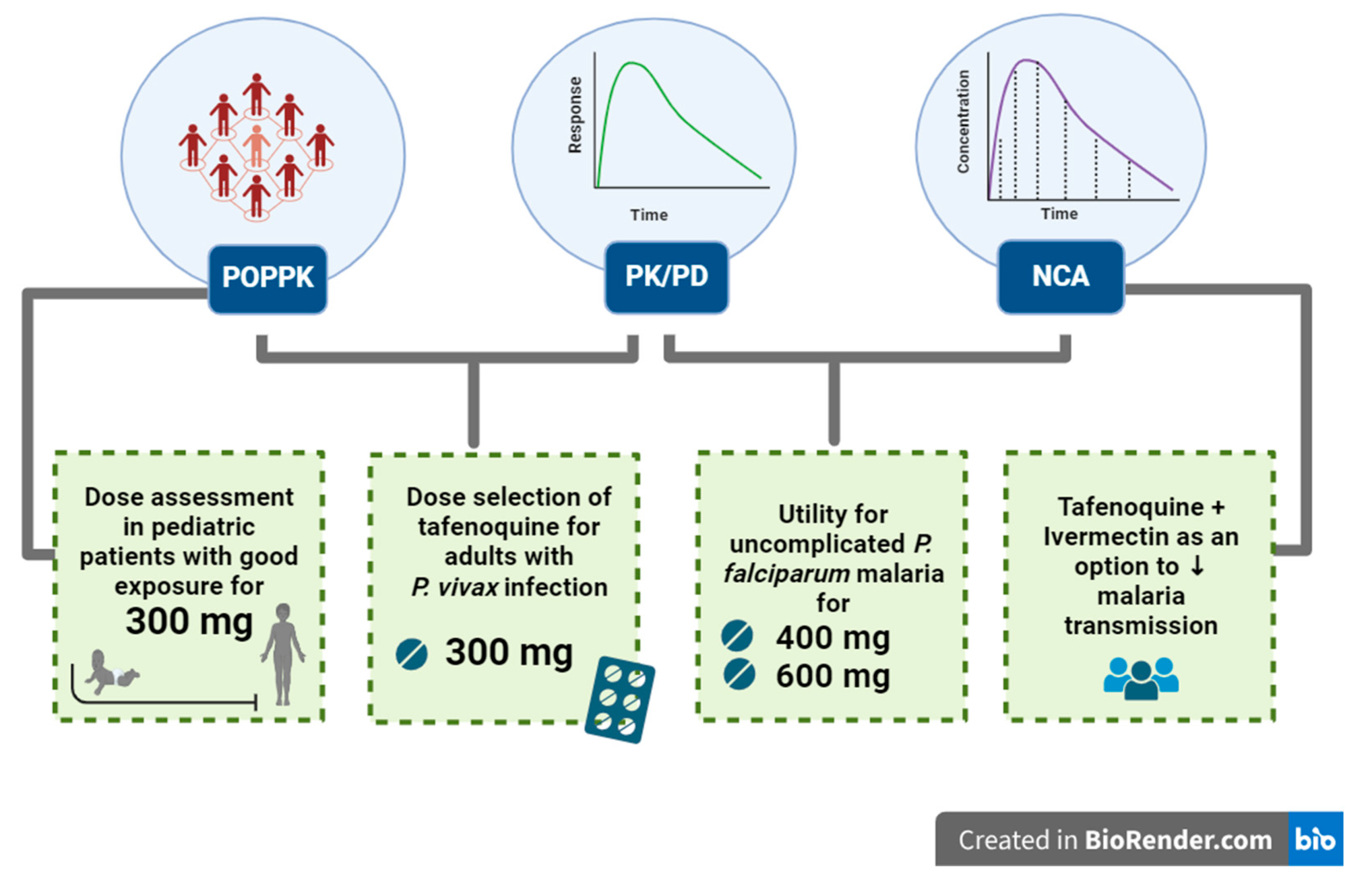 Pharmaceutics 16 01124 g002 Pharmaceutics 16 01124 g002