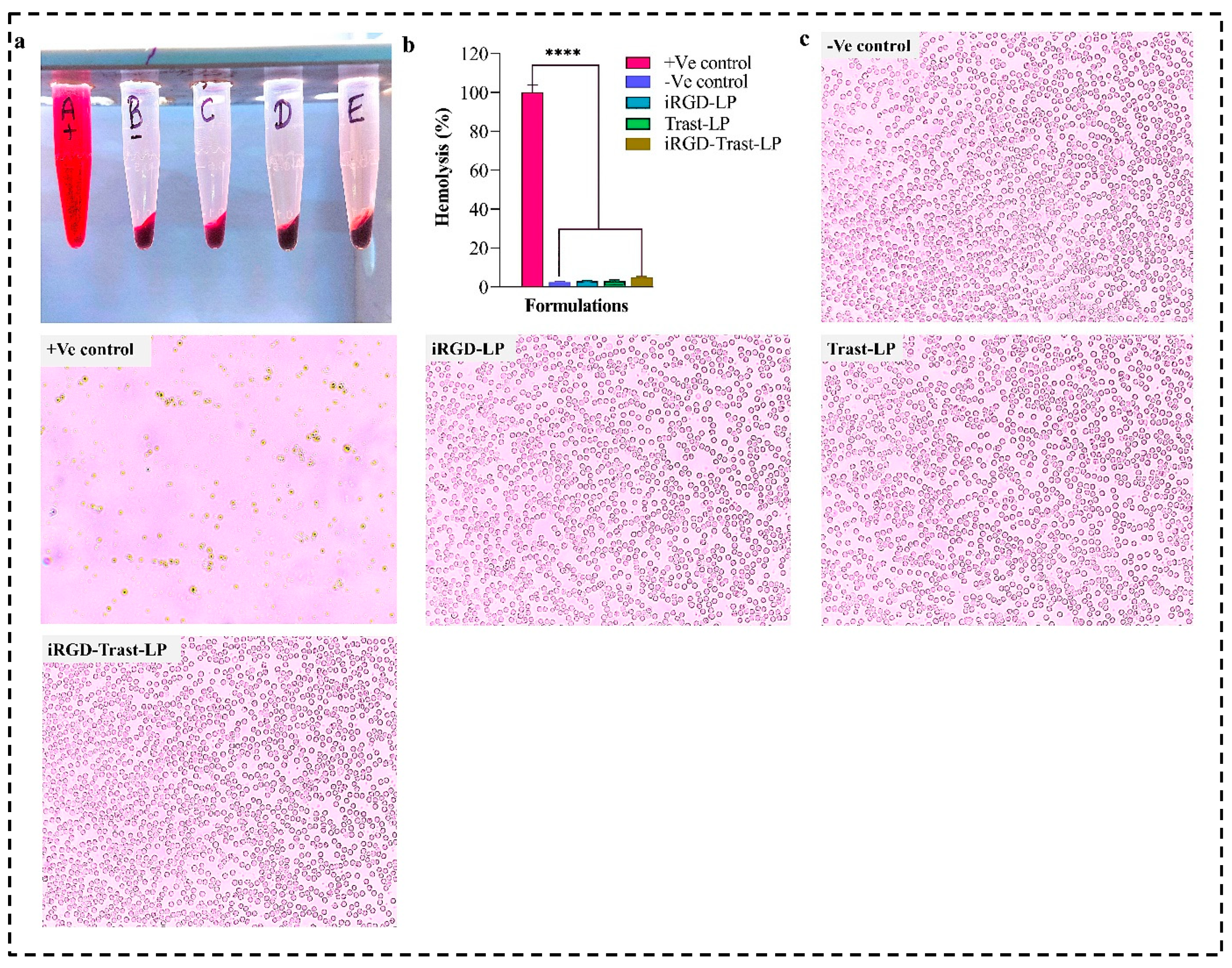 Pharmaceutics 16 01128 g008
