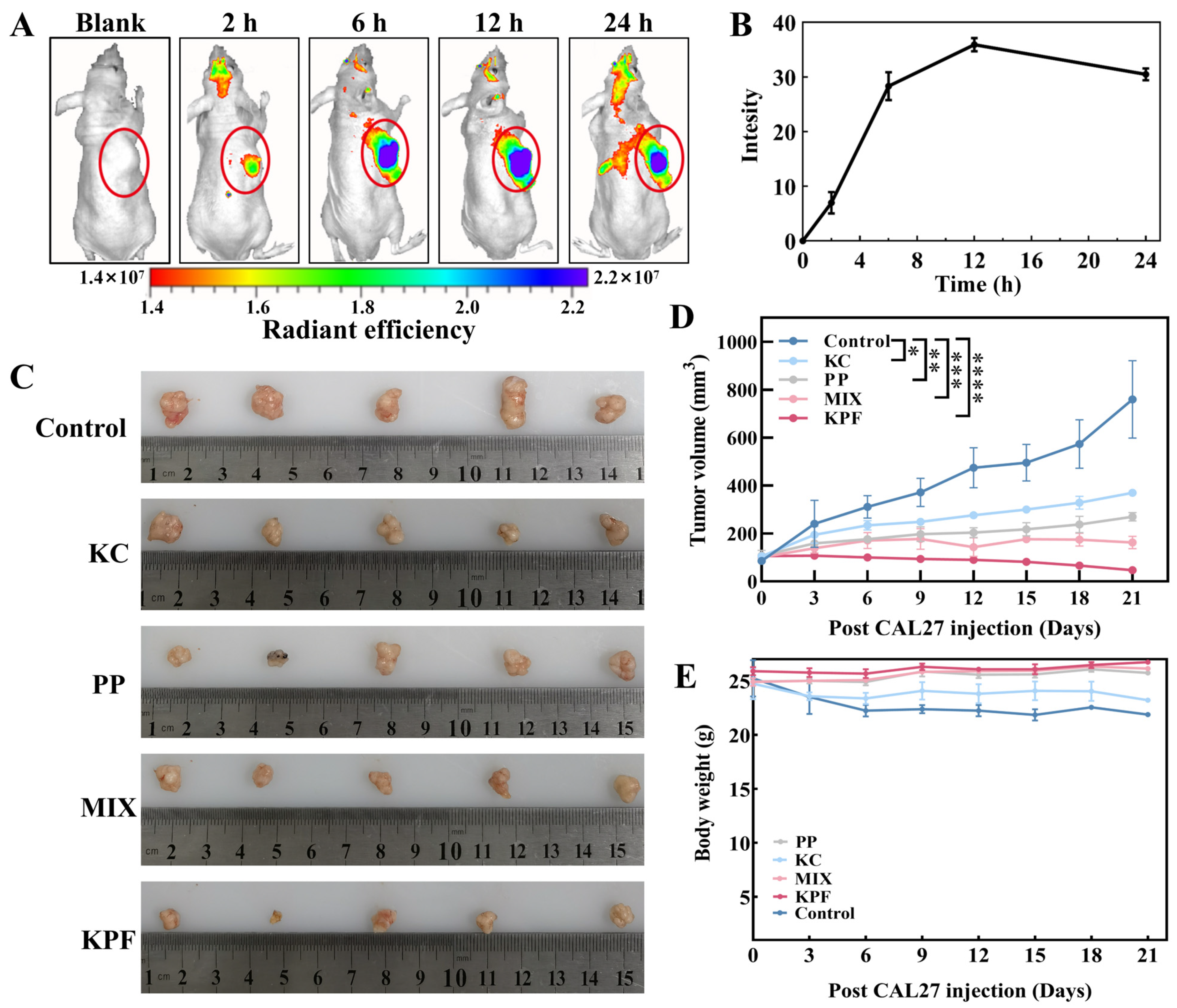 Pharmaceutics 16 01130 g005