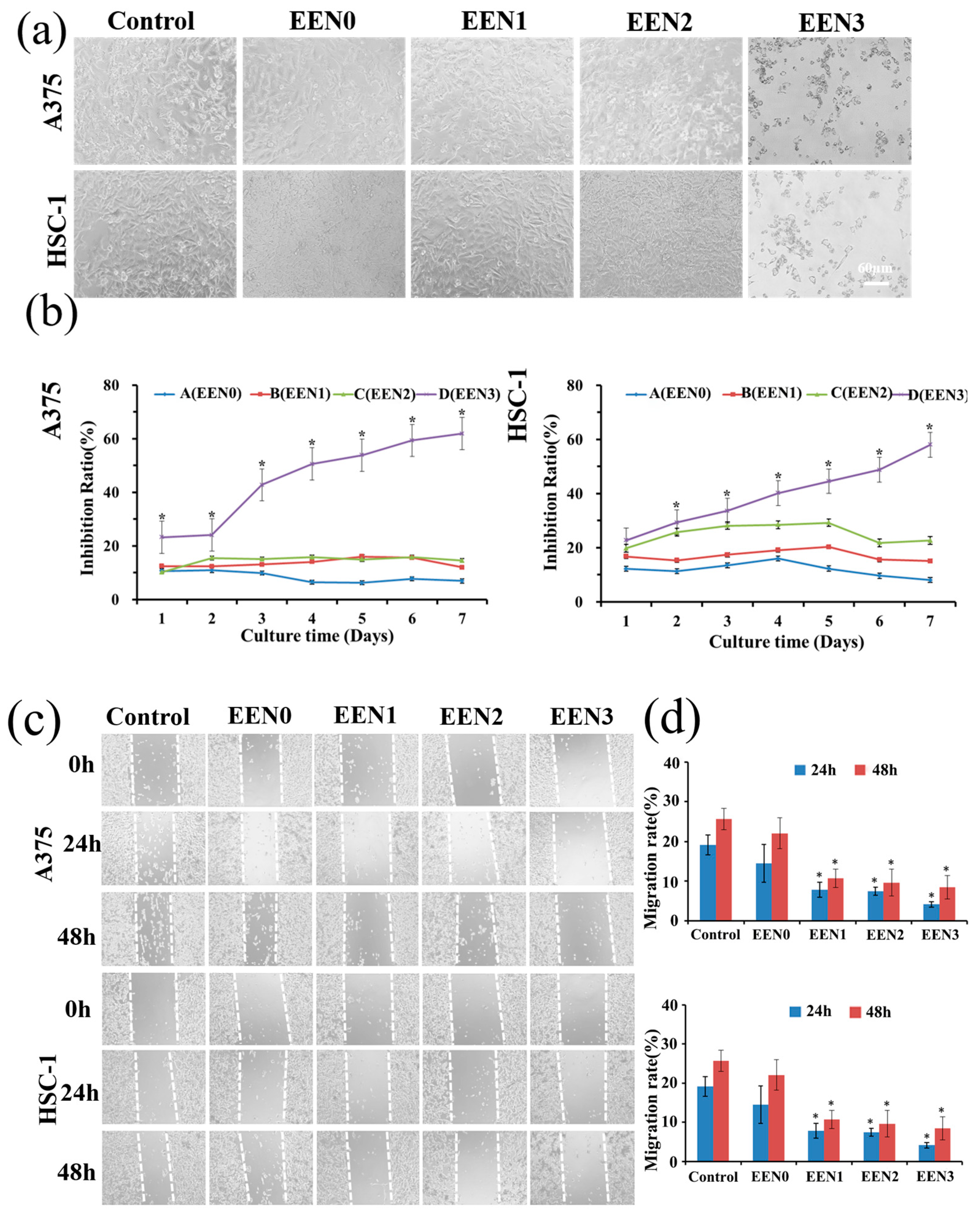 Pharmaceutics 16 01131 g005a