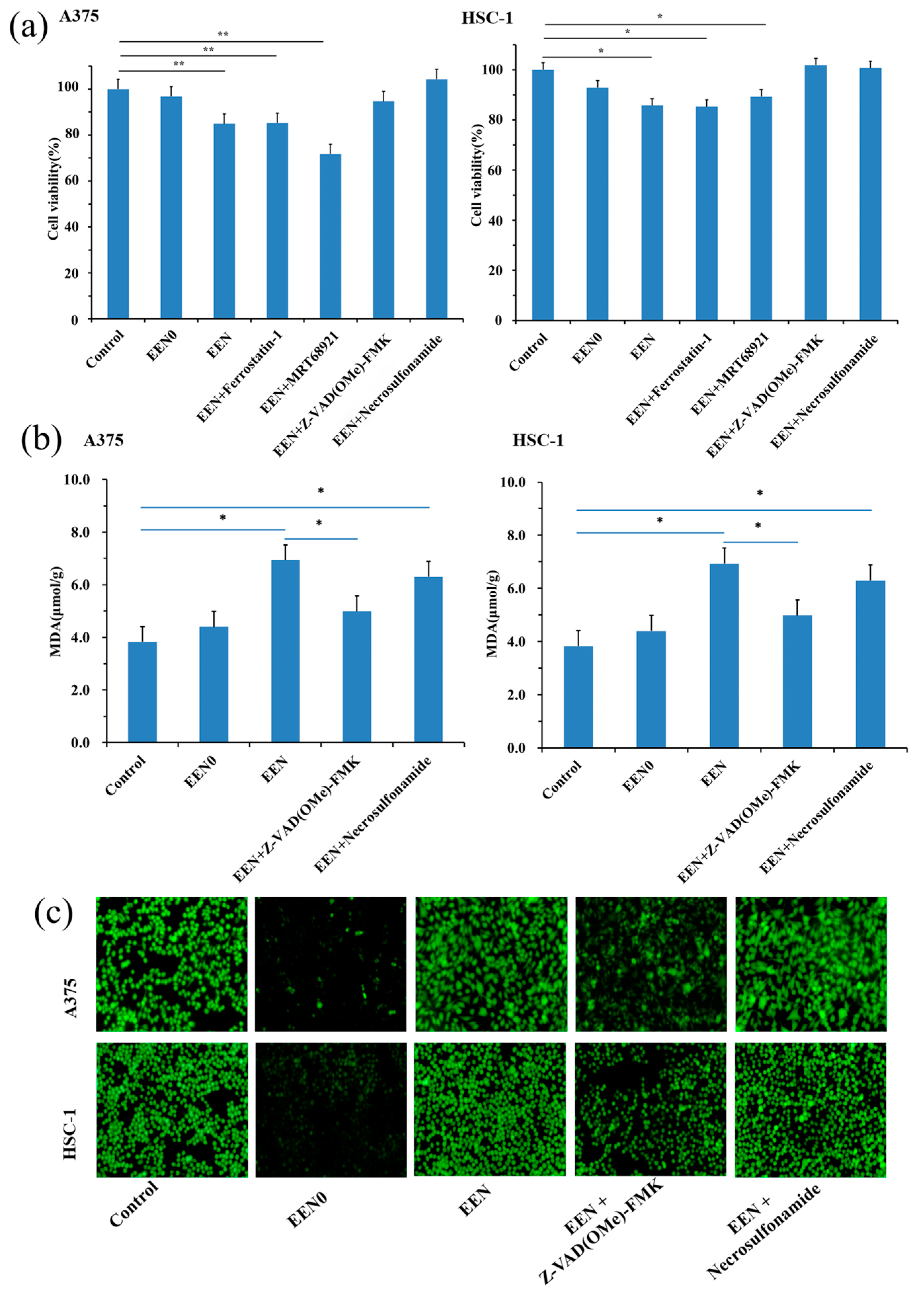 Pharmaceutics 16 01131 g006