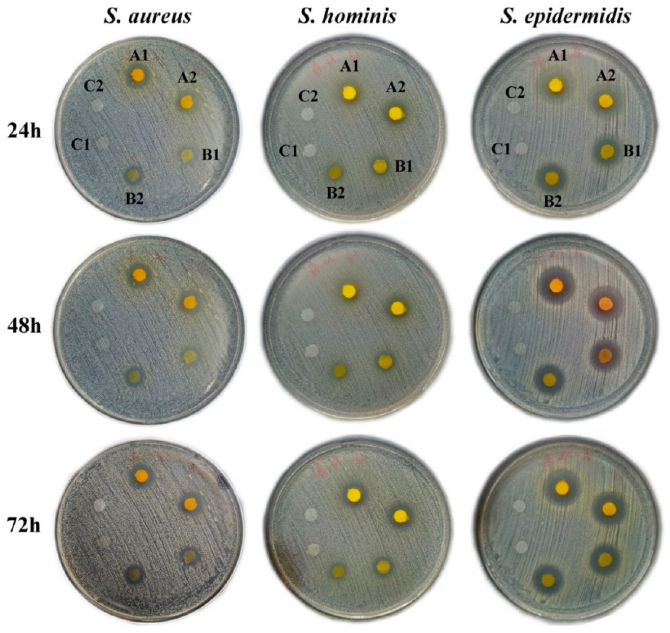 Pharmaceutics 16 01131 g007