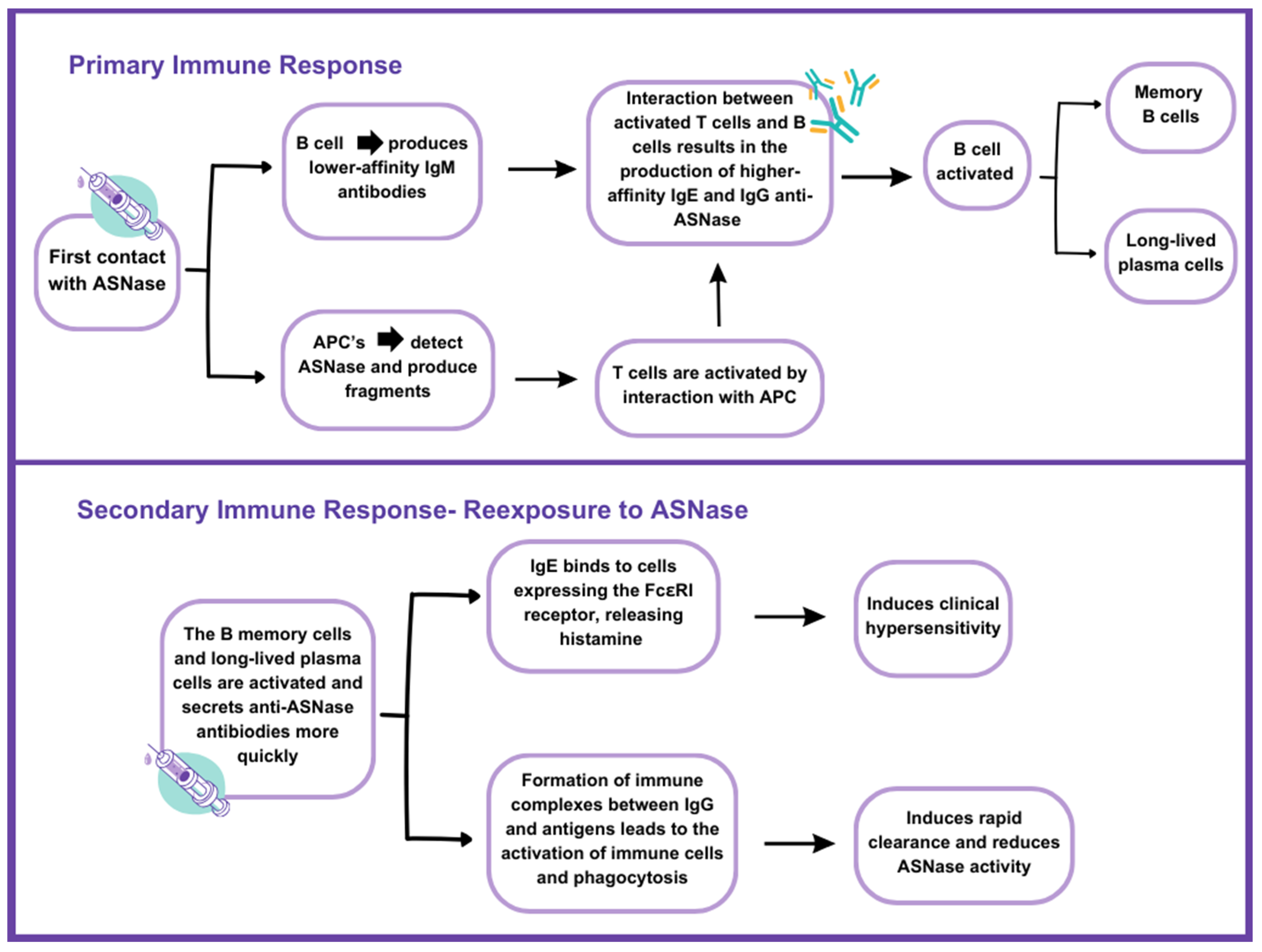 Pharmaceutics 16 01134 g001