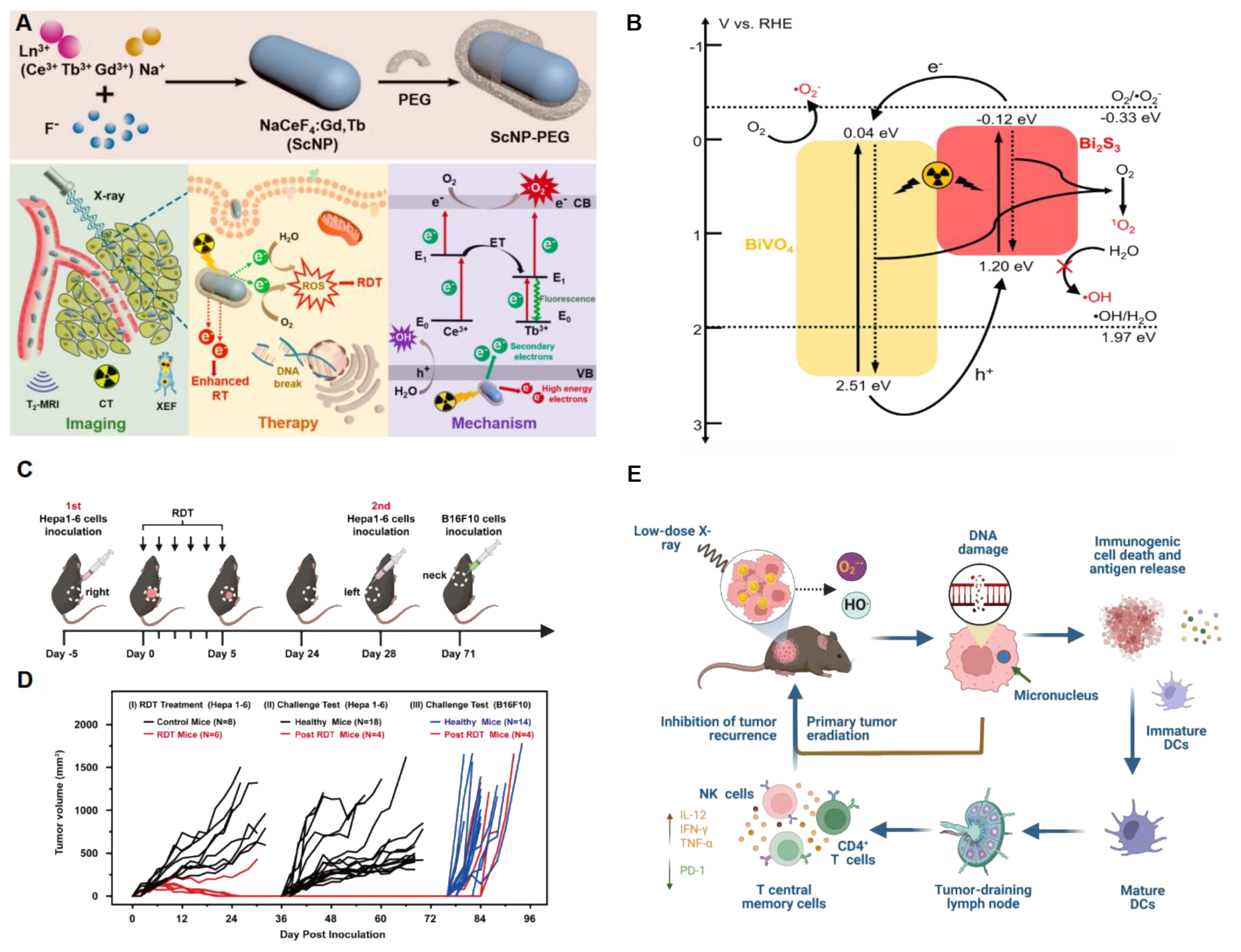 Pharmaceutics 16 01135 g002
