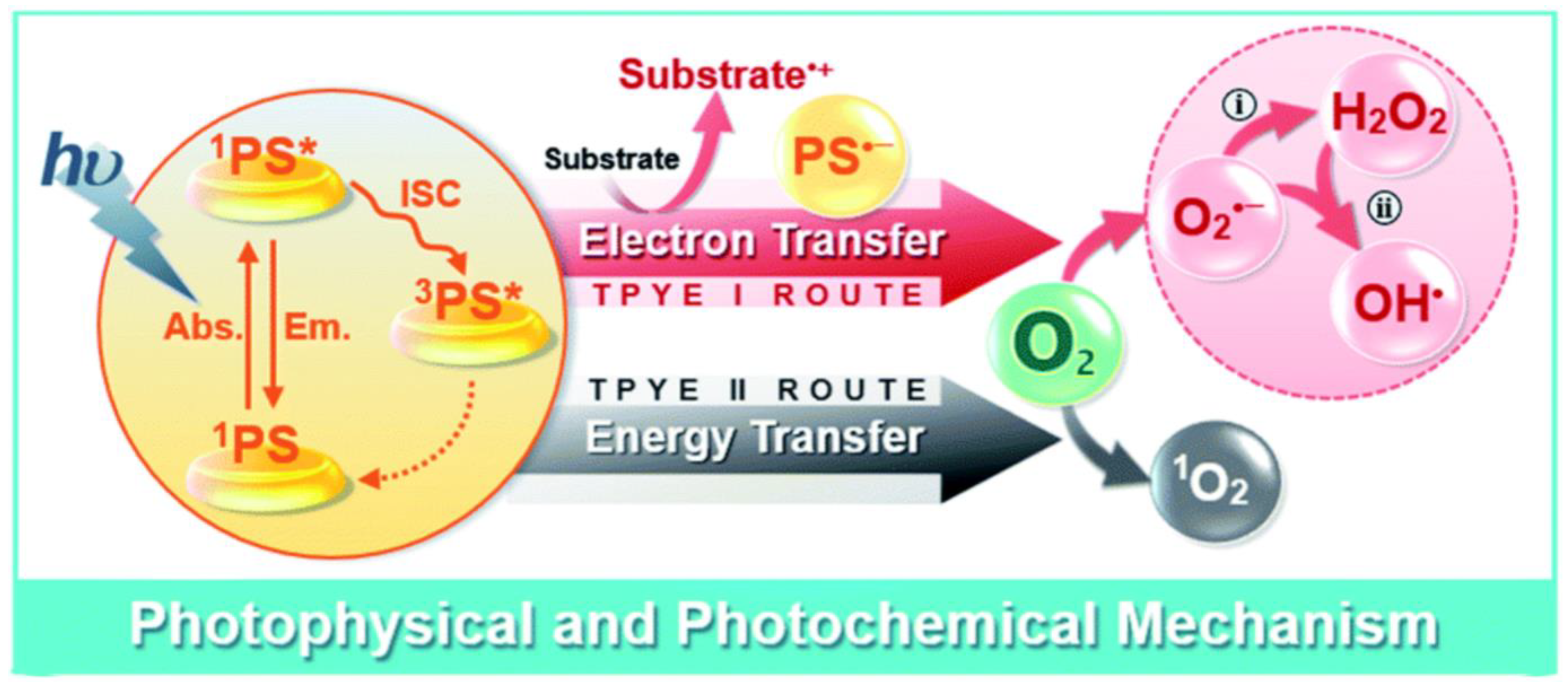 Pharmaceutics 16 01135 g003