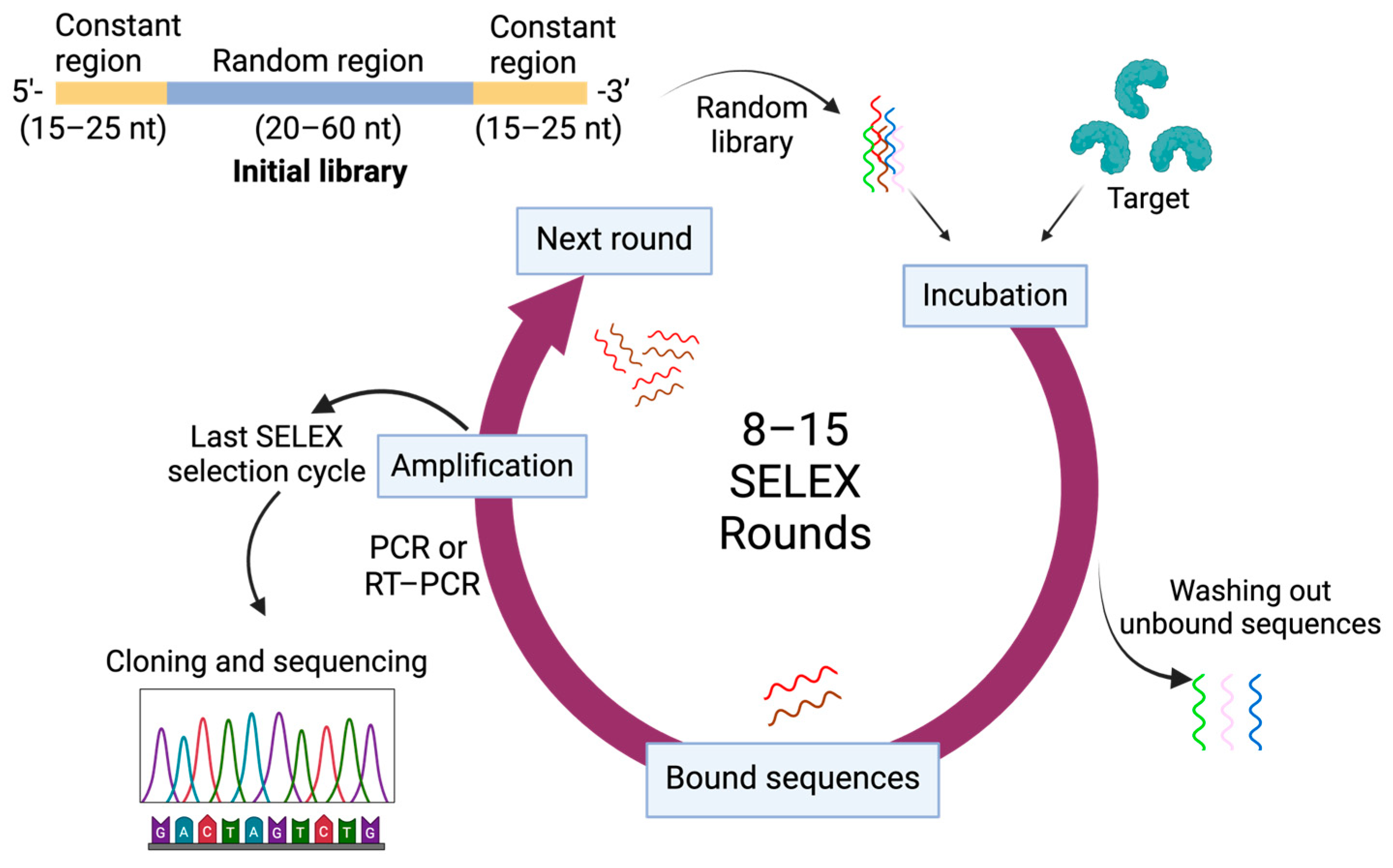 Pharmaceutics 16 01140 g001 Pharmaceutics 16 01140 g001