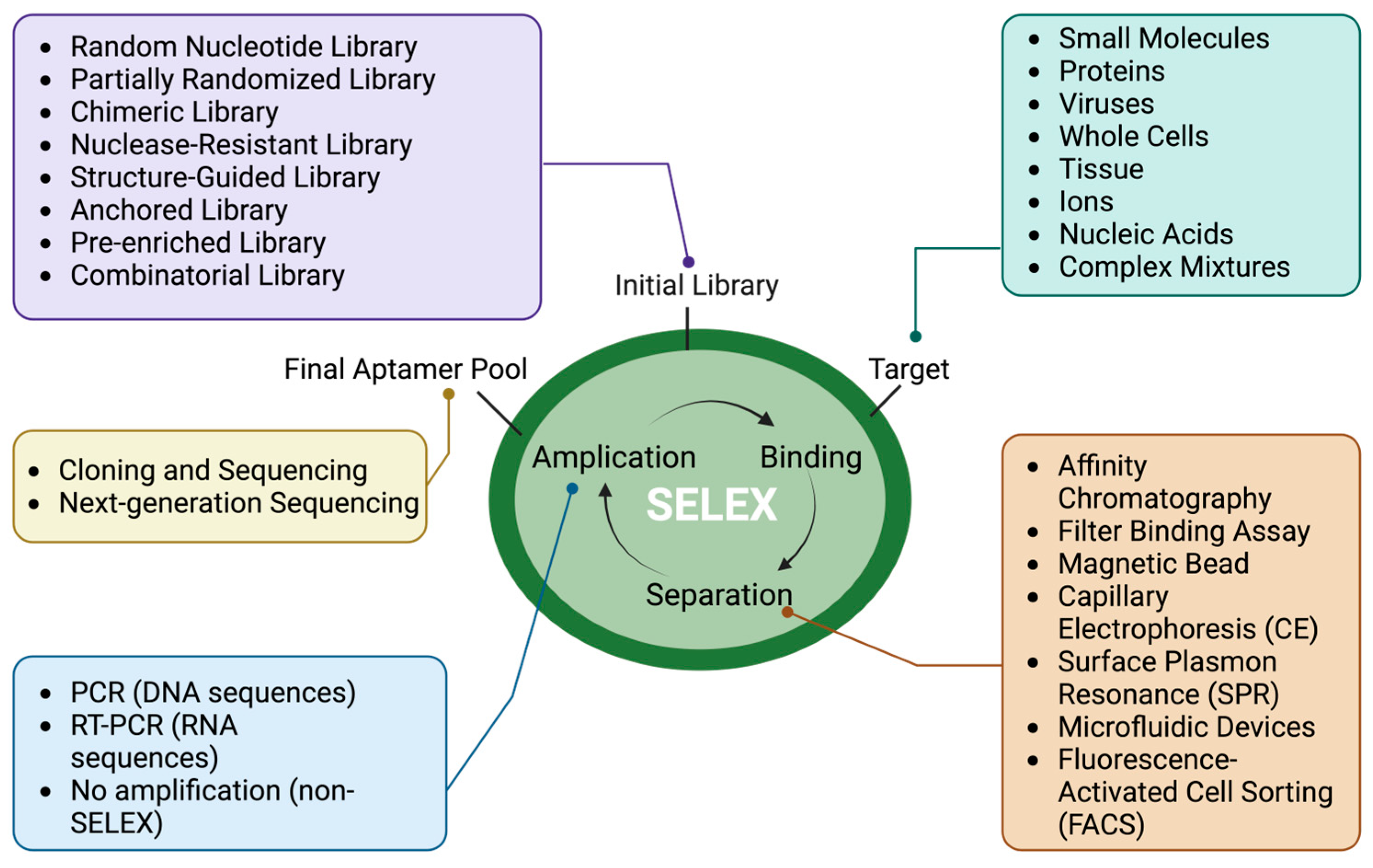 Pharmaceutics 16 01140 g002 Pharmaceutics 16 01140 g002