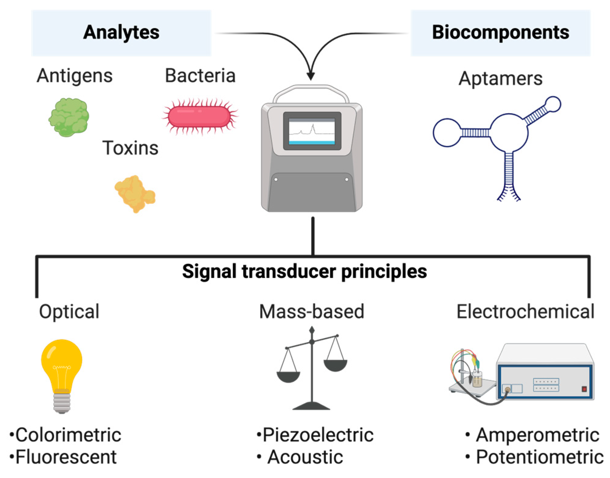 Pharmaceutics 16 01140 g003 Pharmaceutics 16 01140 g003