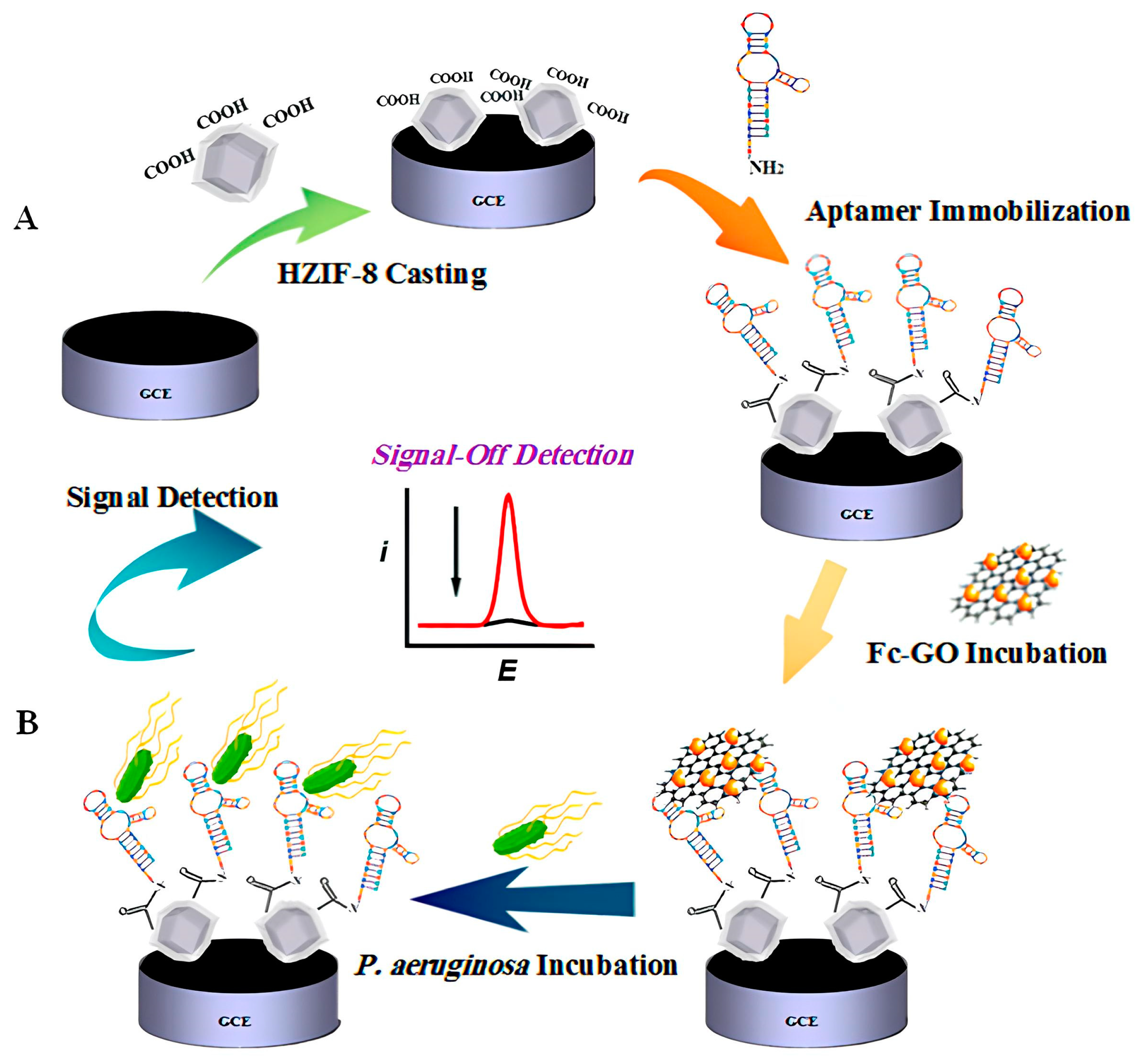 Pharmaceutics 16 01140 g005 Pharmaceutics 16 01140 g005