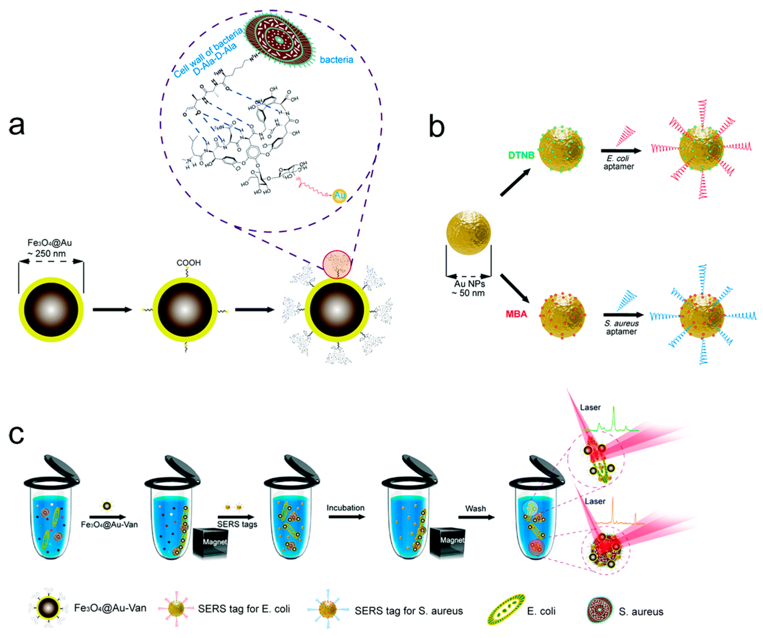 Pharmaceutics 16 01140 g006 Pharmaceutics 16 01140 g006