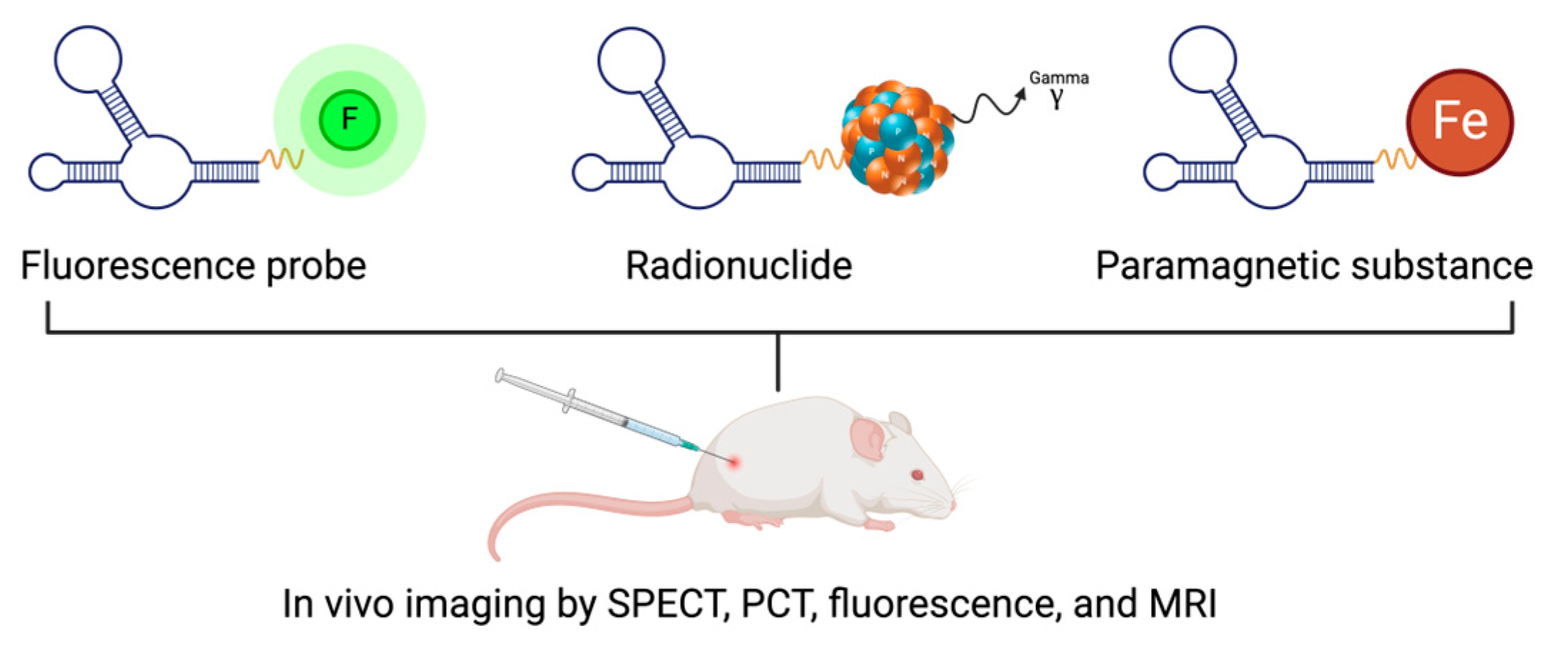 Pharmaceutics 16 01140 g007 Pharmaceutics 16 01140 g007