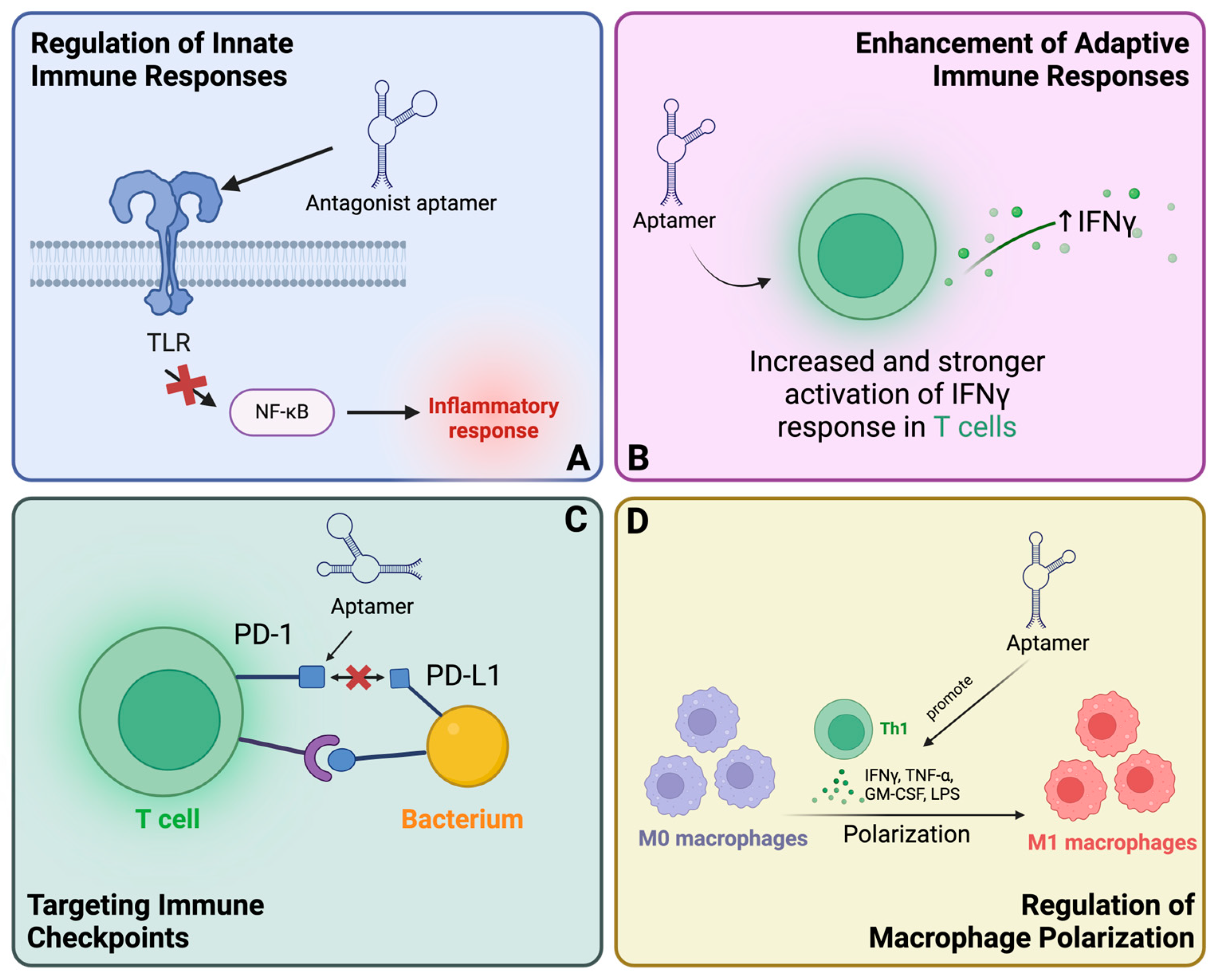Pharmaceutics 16 01140 g009 Pharmaceutics 16 01140 g009