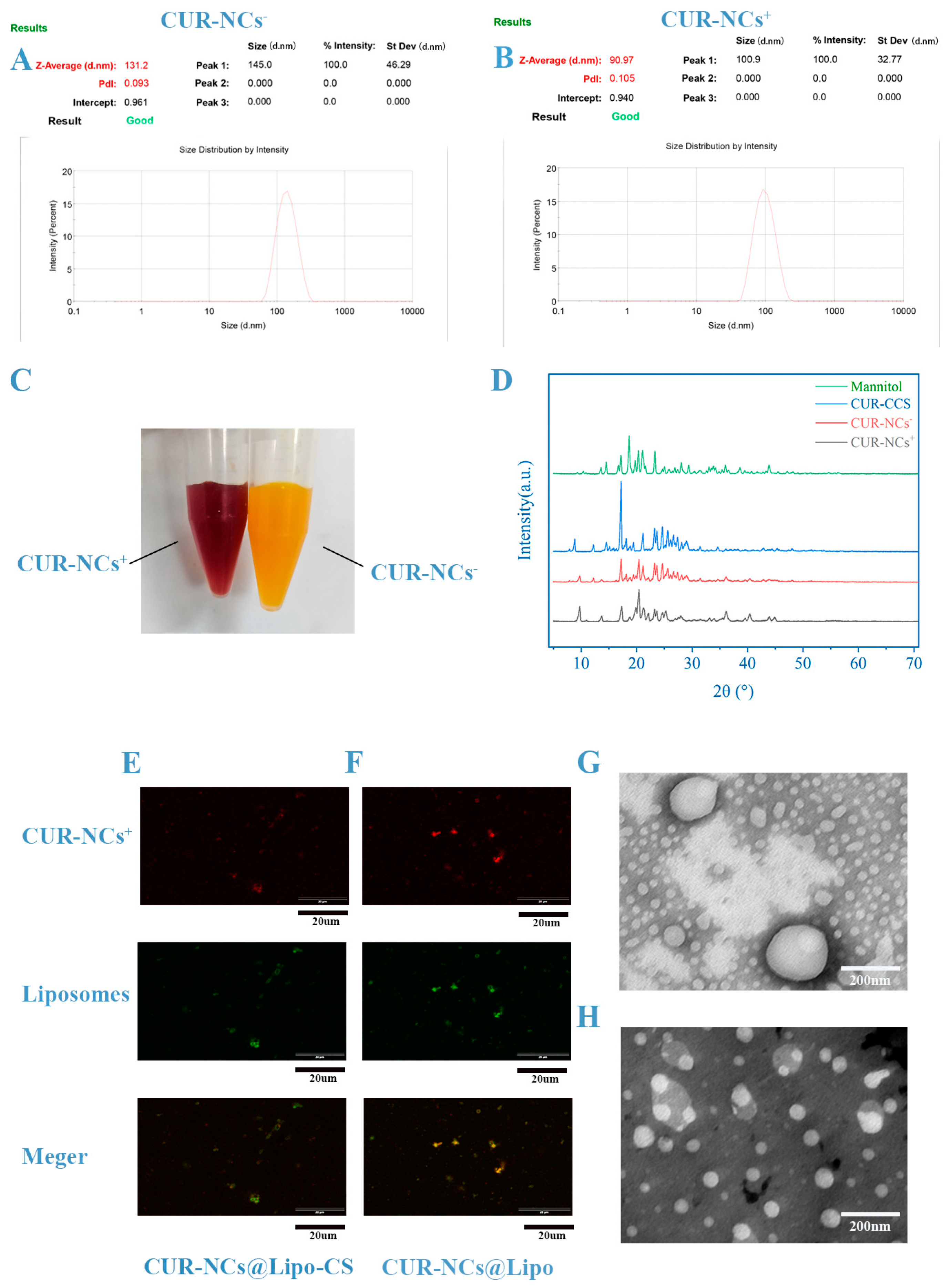 Pharmaceutics 16 01155 g003