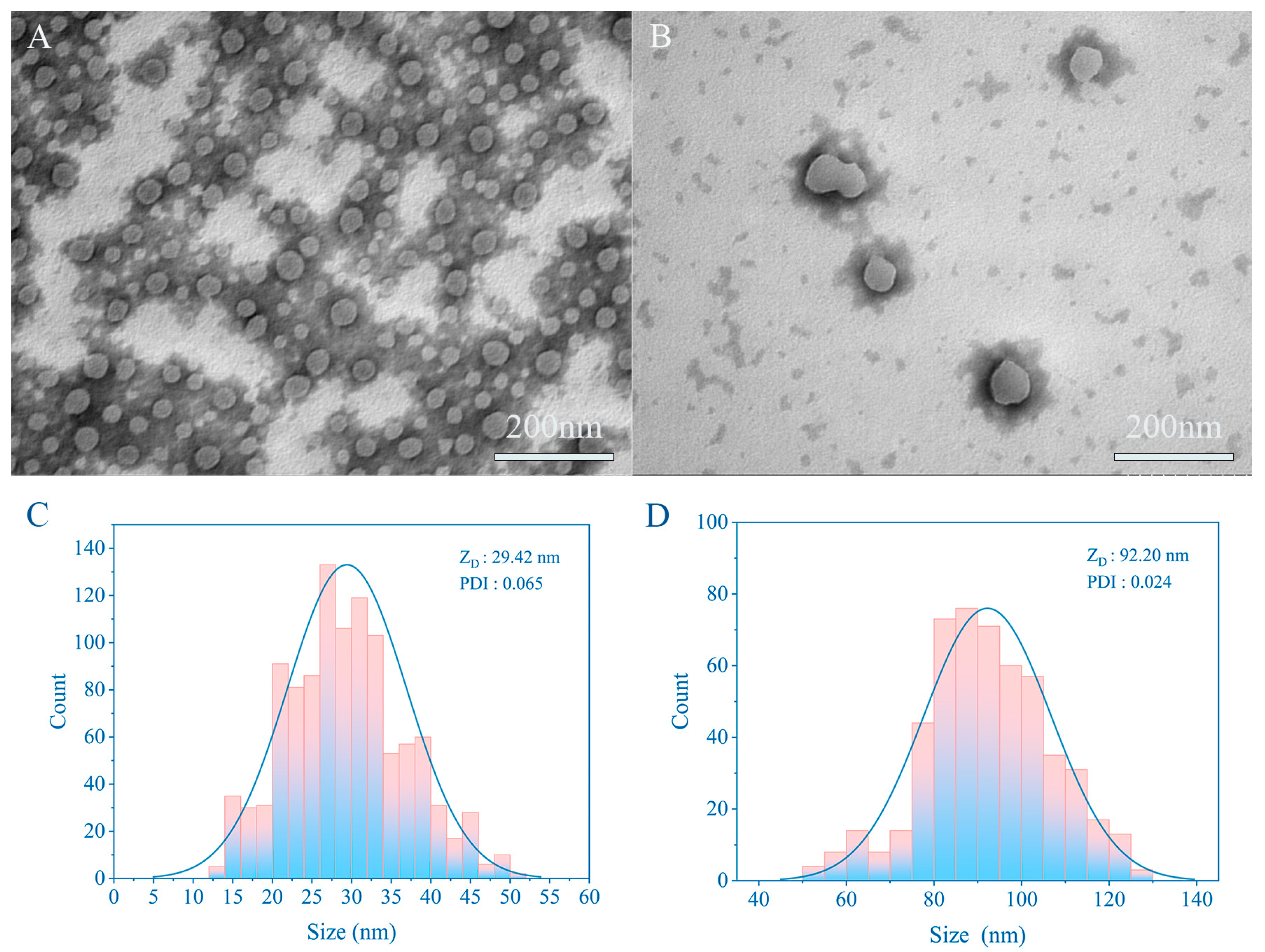 Pharmaceutics 16 01155 g004