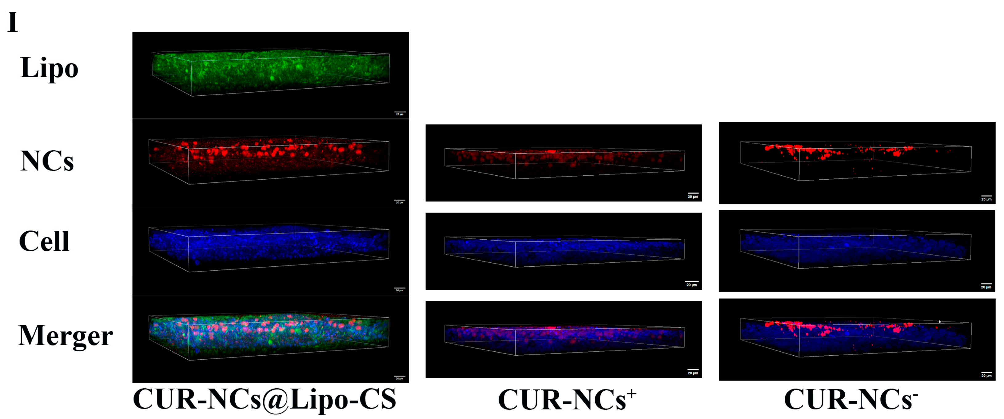 Pharmaceutics 16 01155 g007b