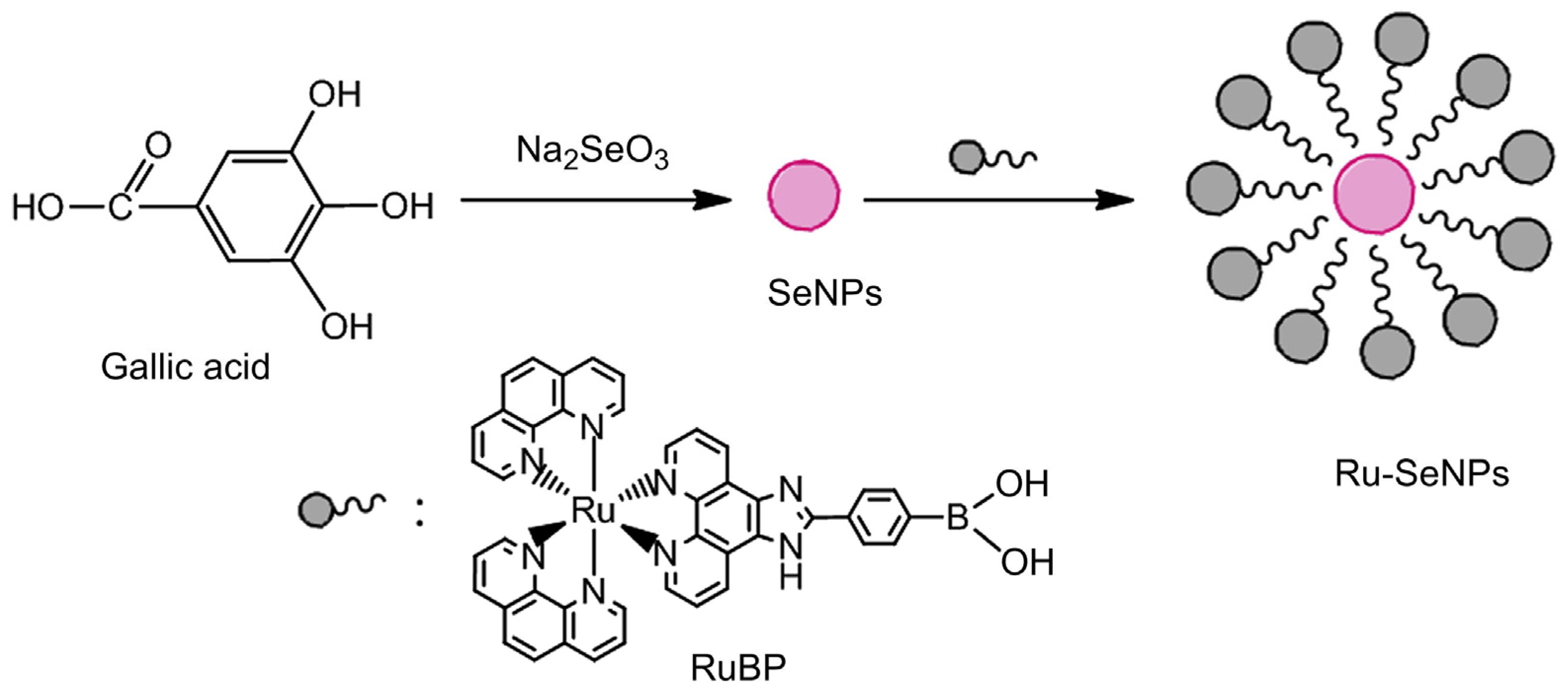 Pharmaceutics 16 01162 sch001
