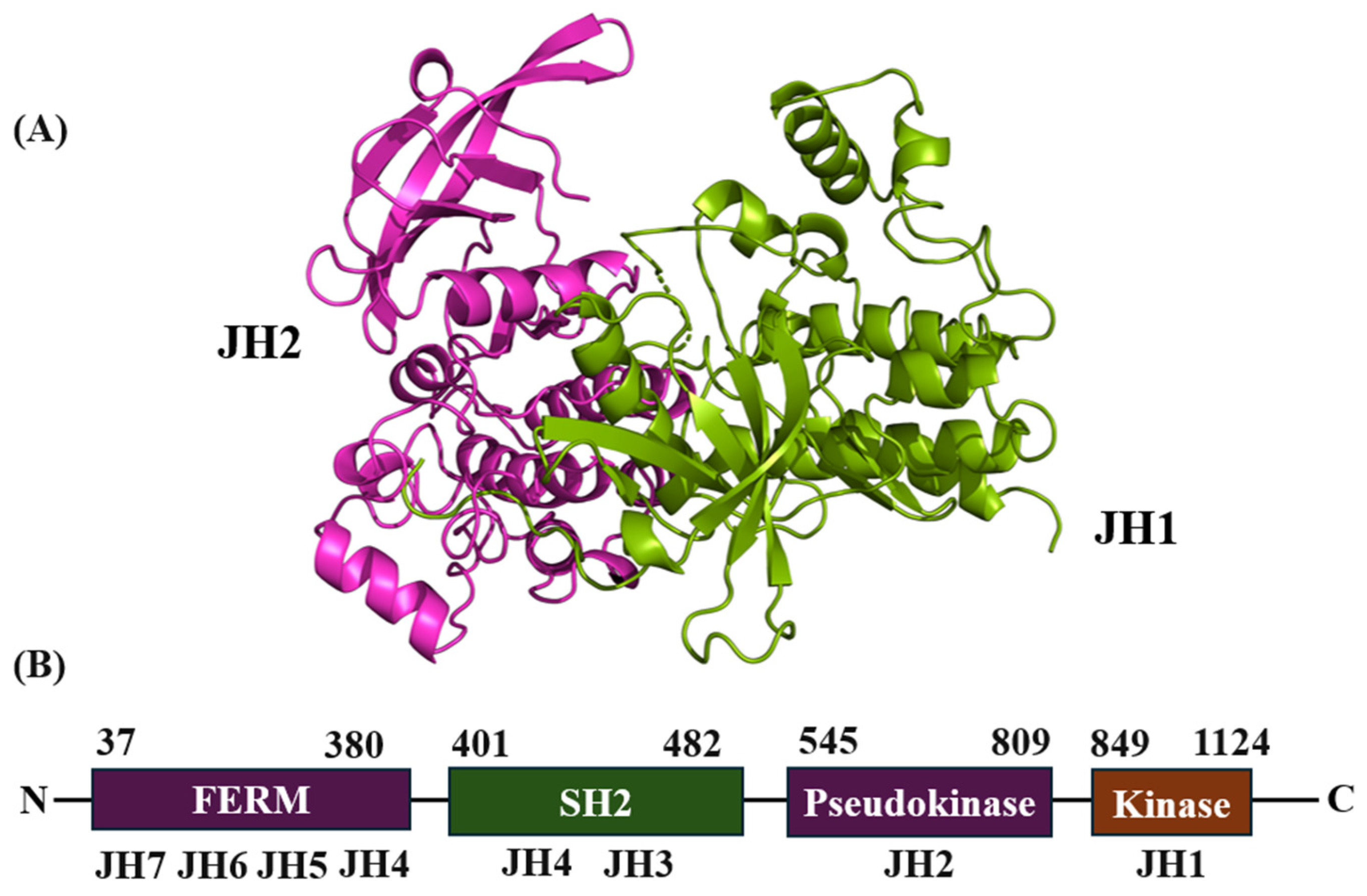 Pharmaceutics 16 01165 g001