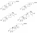 Pharmaceutics 16 01169 i008