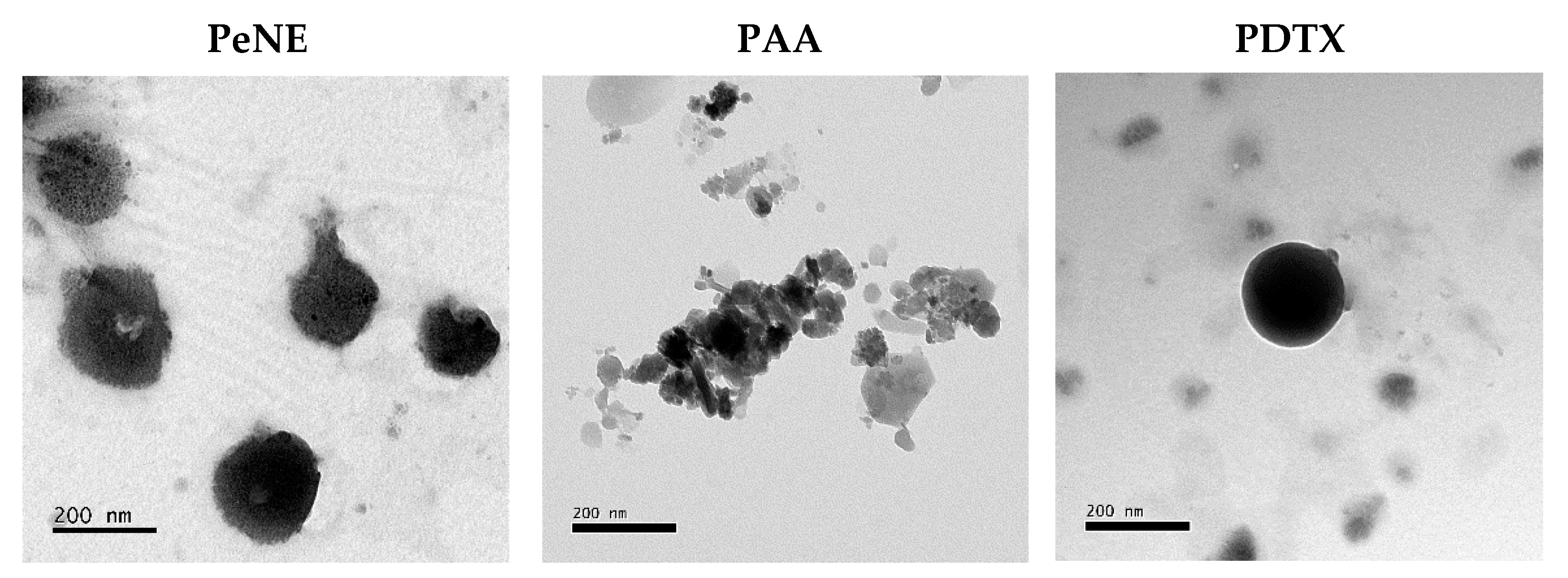 Pharmaceutics 16 01170 g001