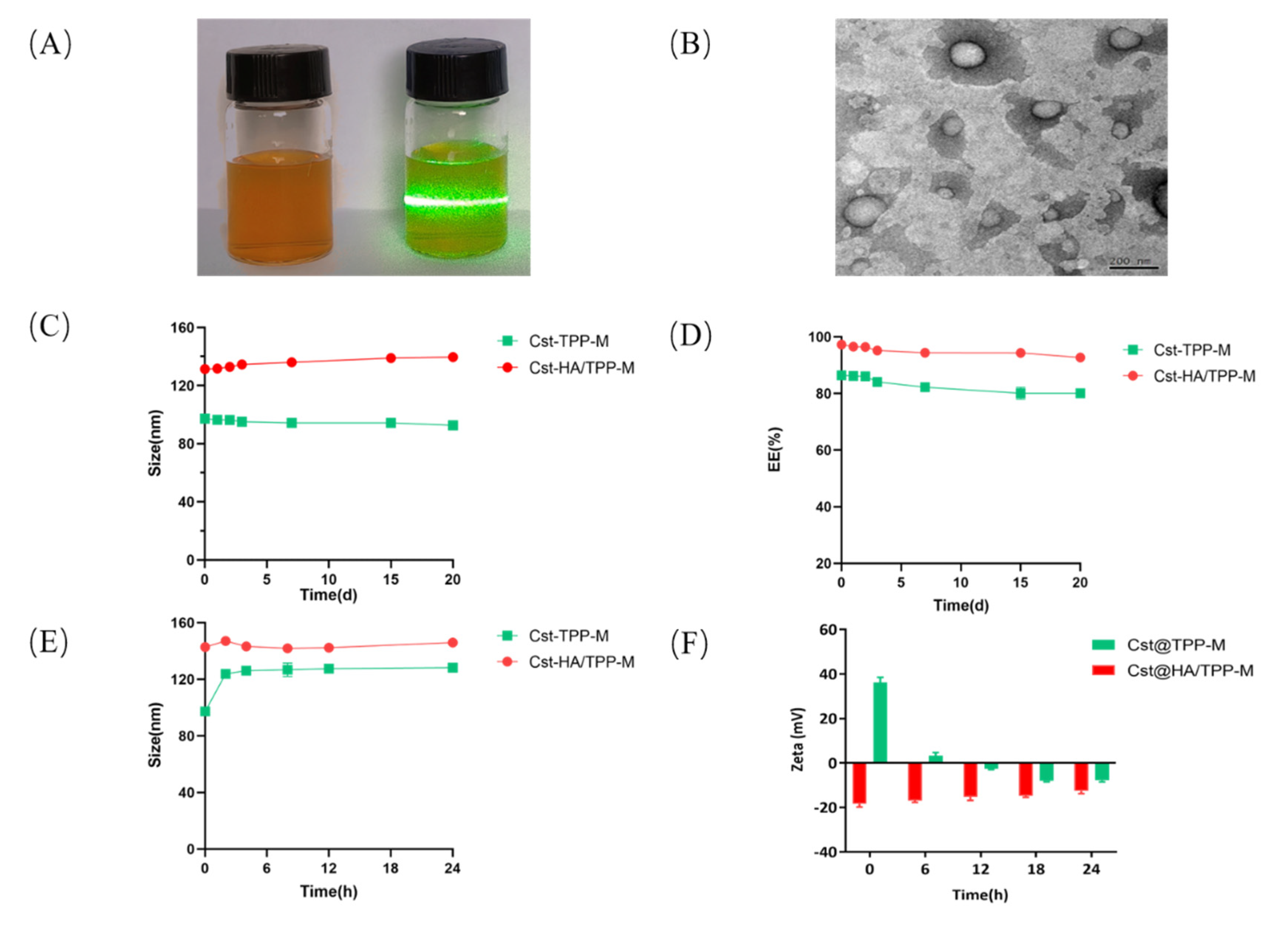 Pharmaceutics 16 01174 g001