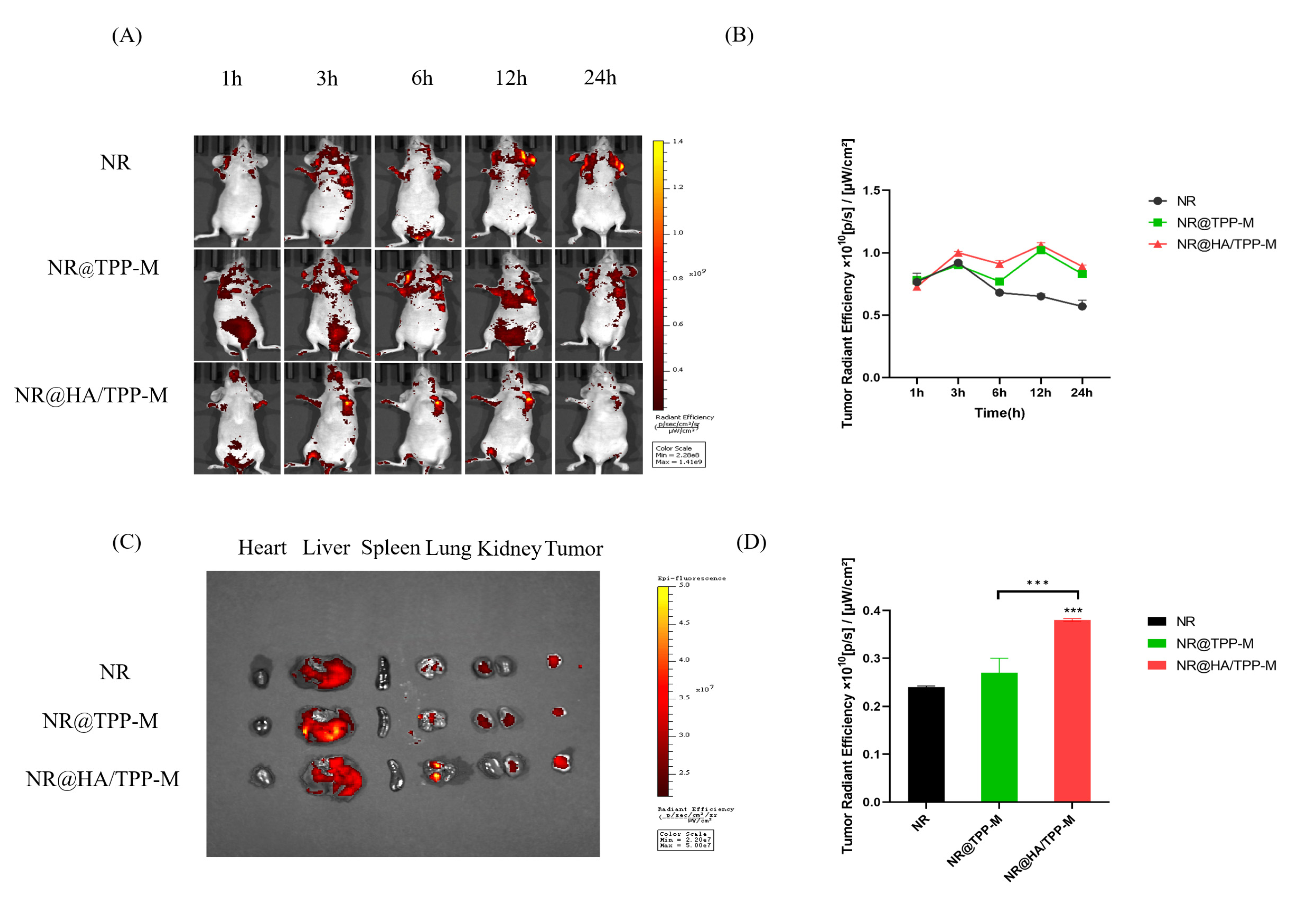 Pharmaceutics 16 01174 g007