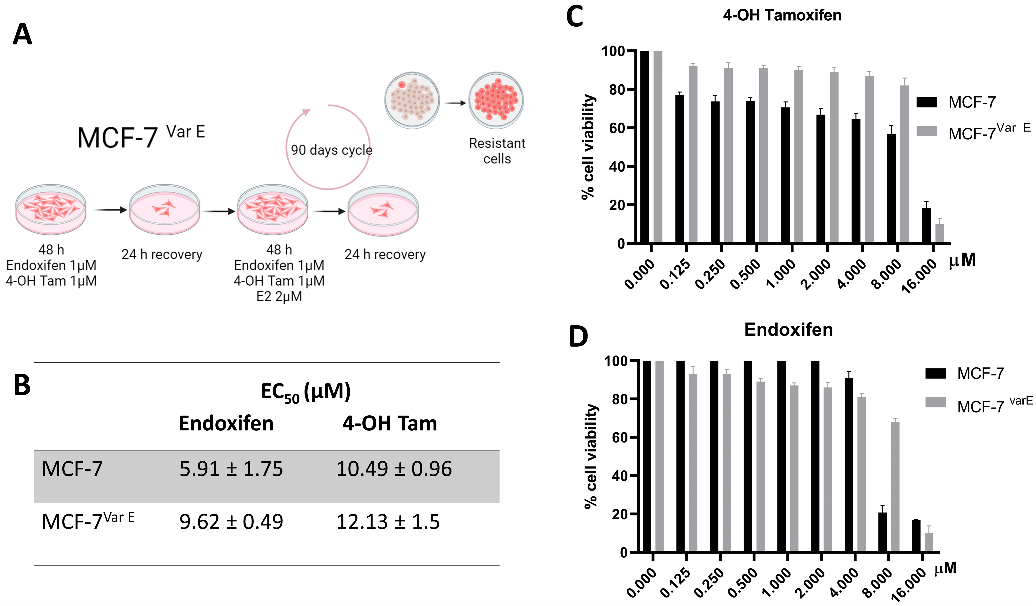 Pharmaceutics 16 01179 g001