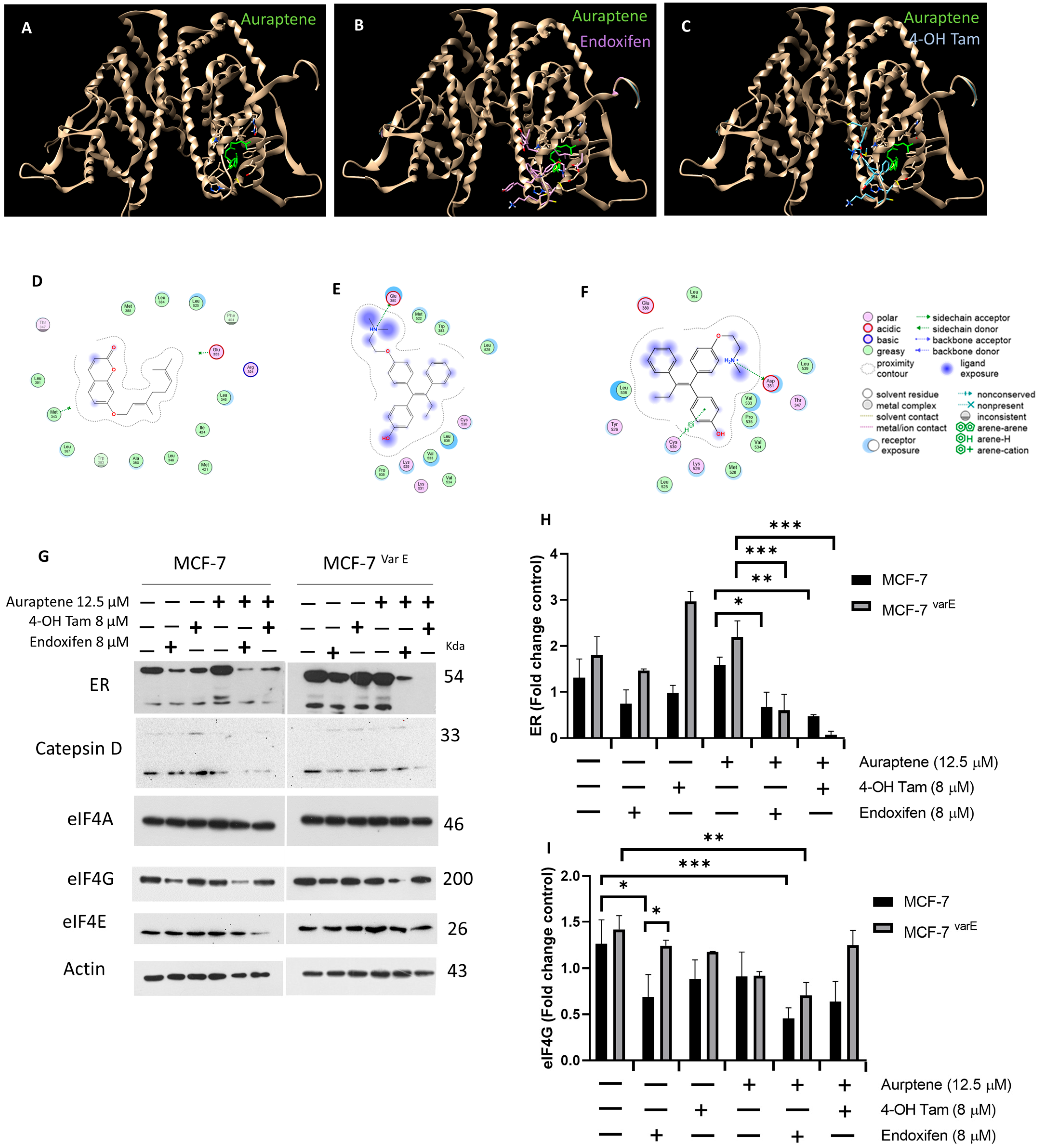 Pharmaceutics 16 01179 g007