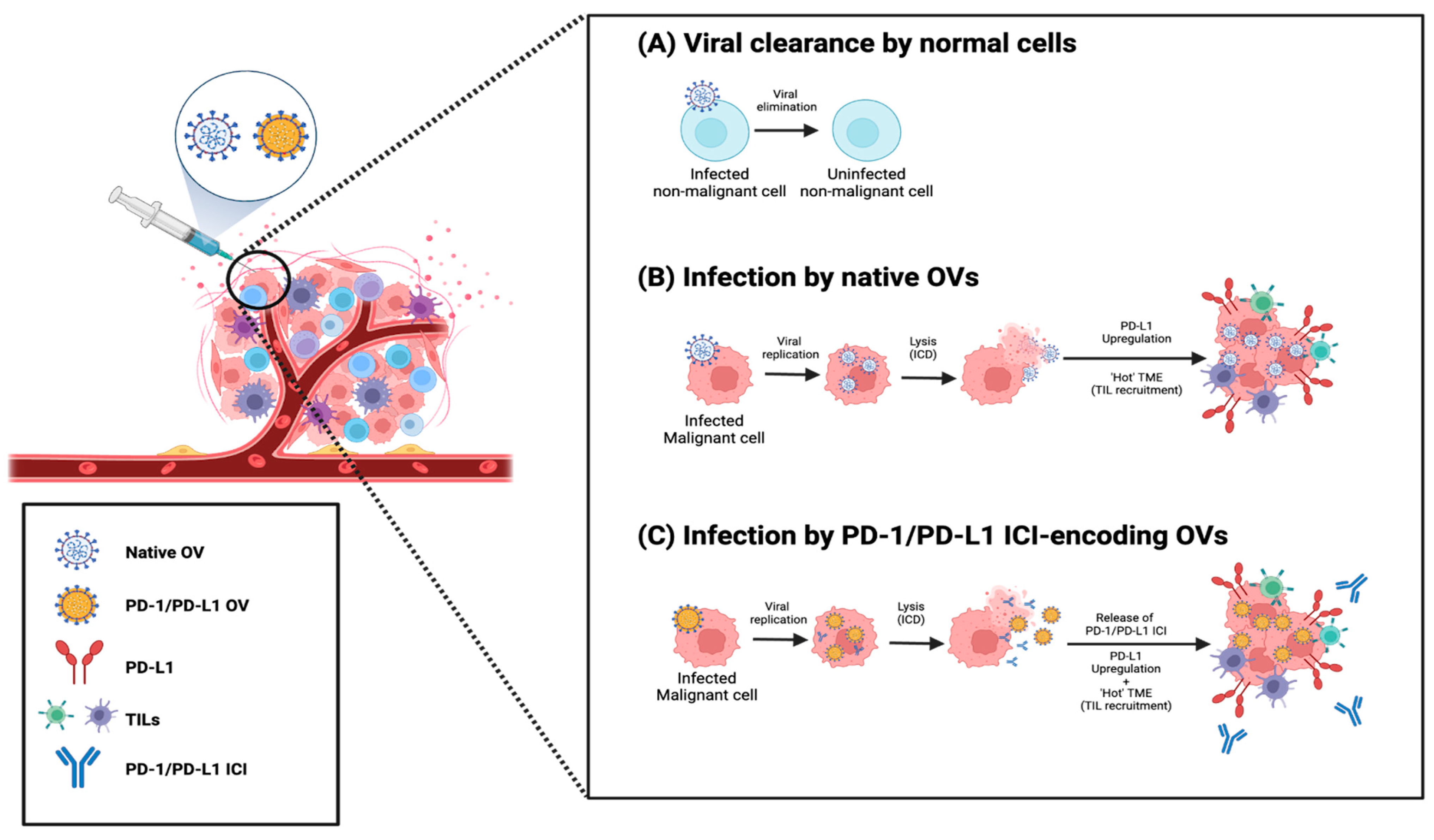 Pharmaceutics 16 01181 g003