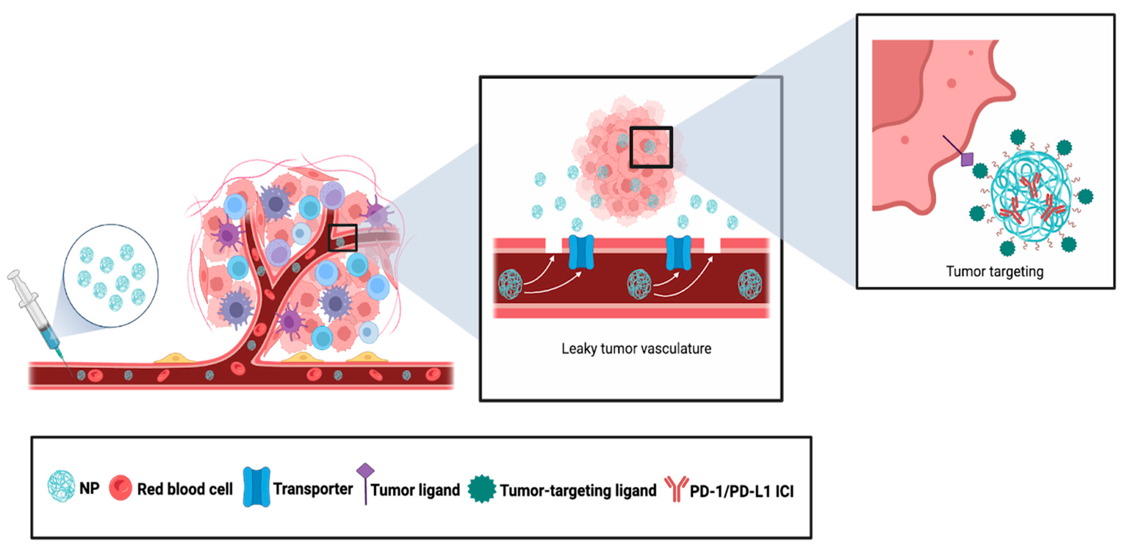 Pharmaceutics 16 01181 g004