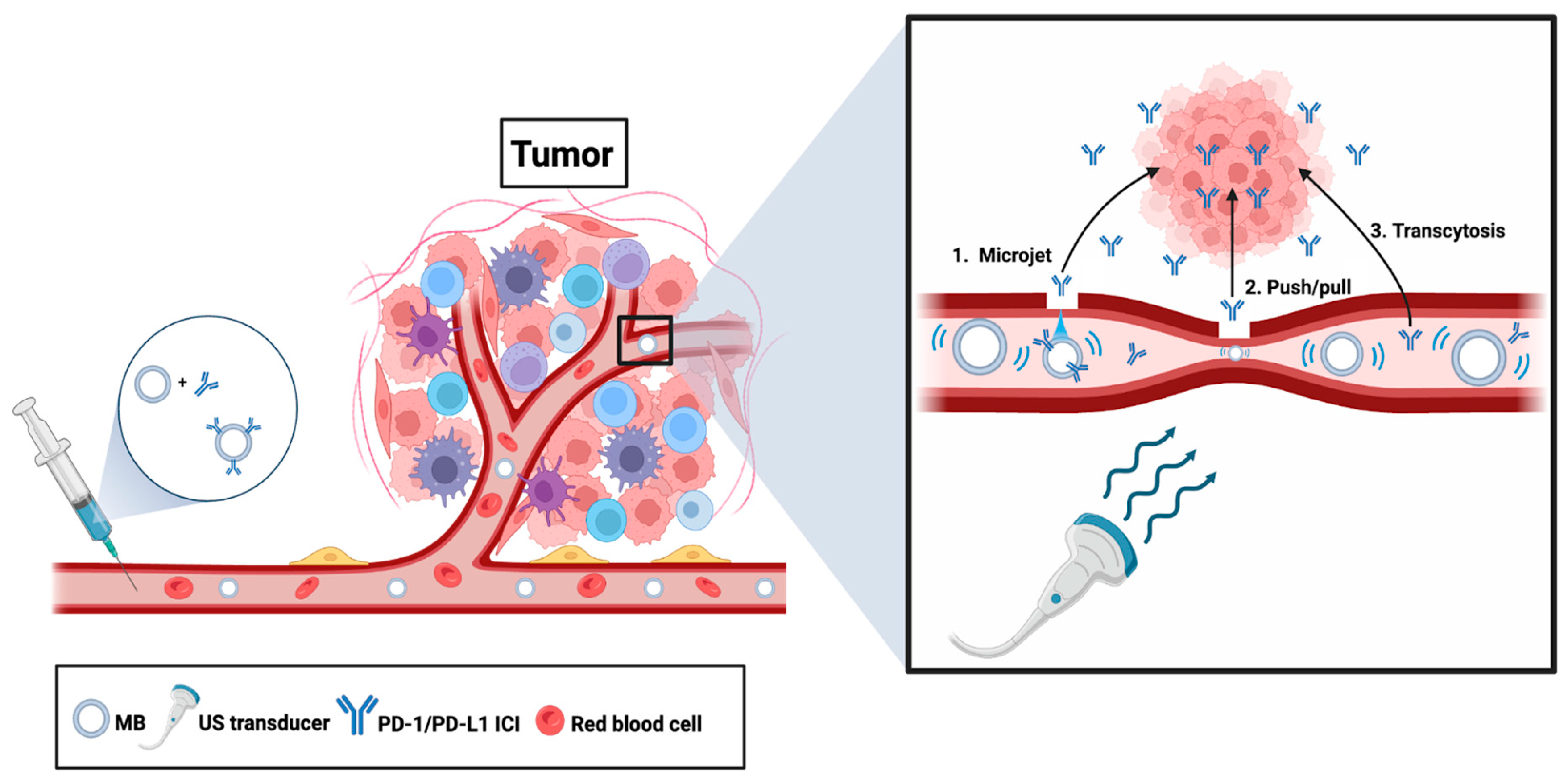 Pharmaceutics 16 01181 g005