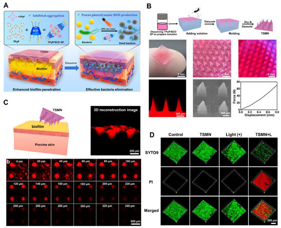 Modeling and simulation for cross-sectional ovalization of