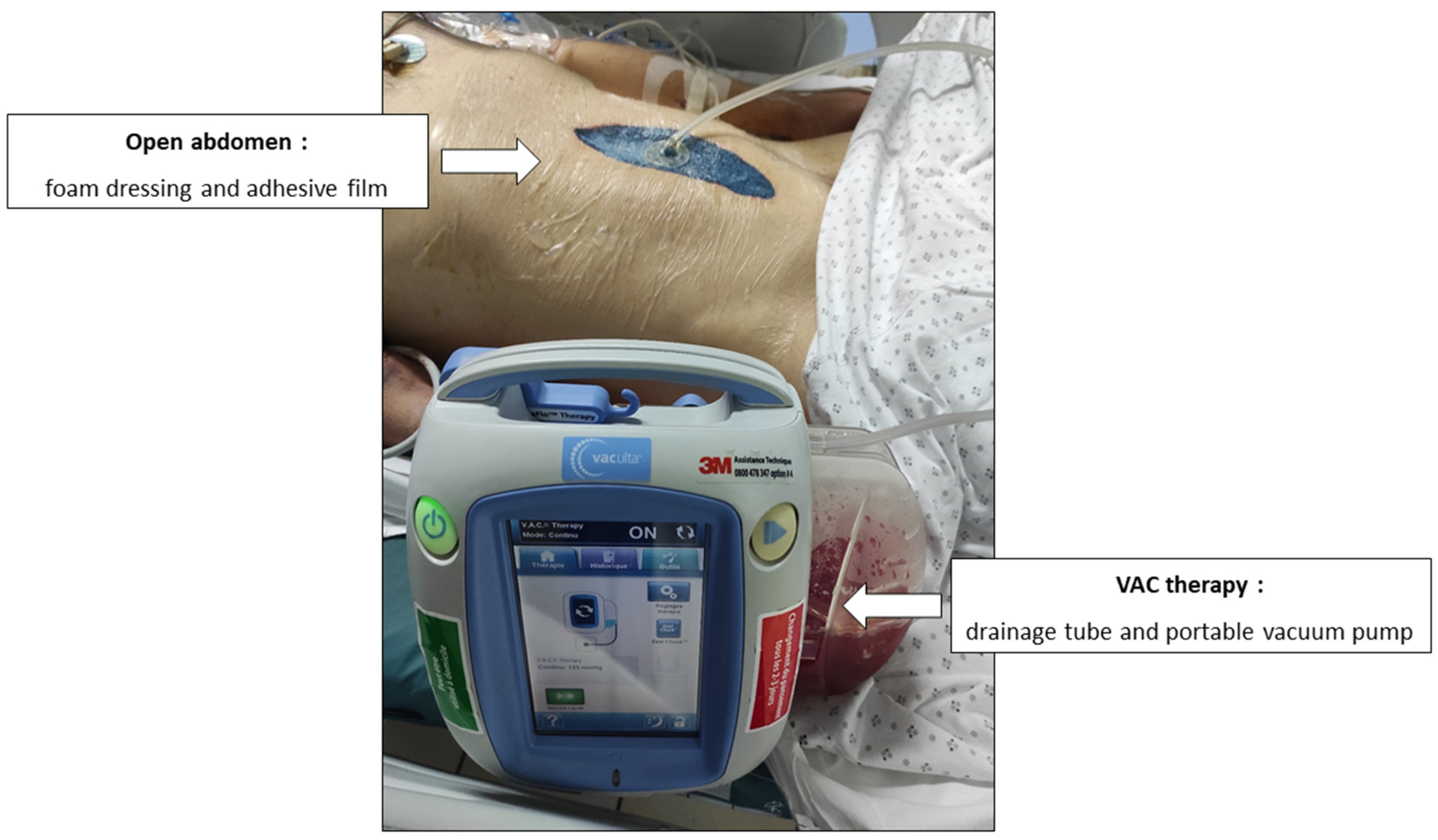 Pharmaceutics 16 01191 g001 Pharmaceutics 16 01191 g001