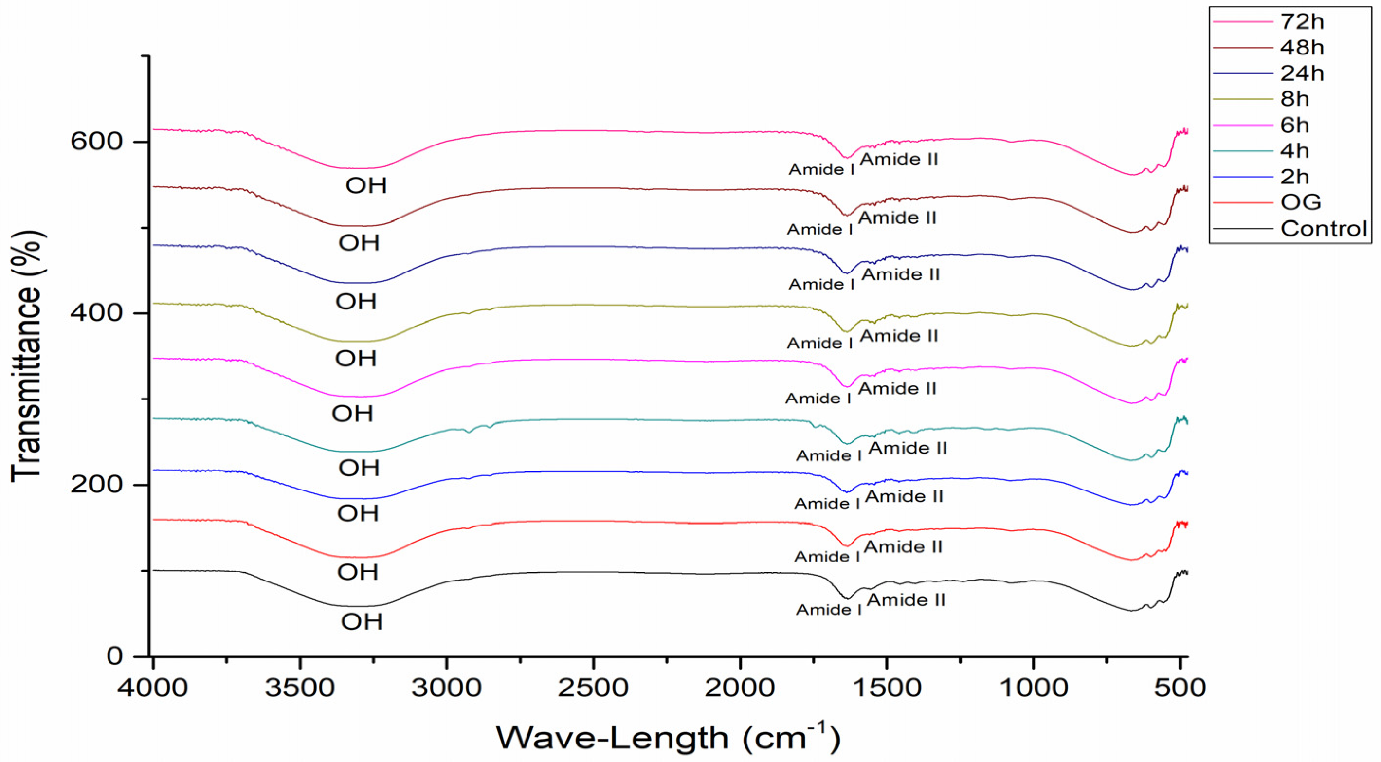 Pharmaceutics 16 01195 g006