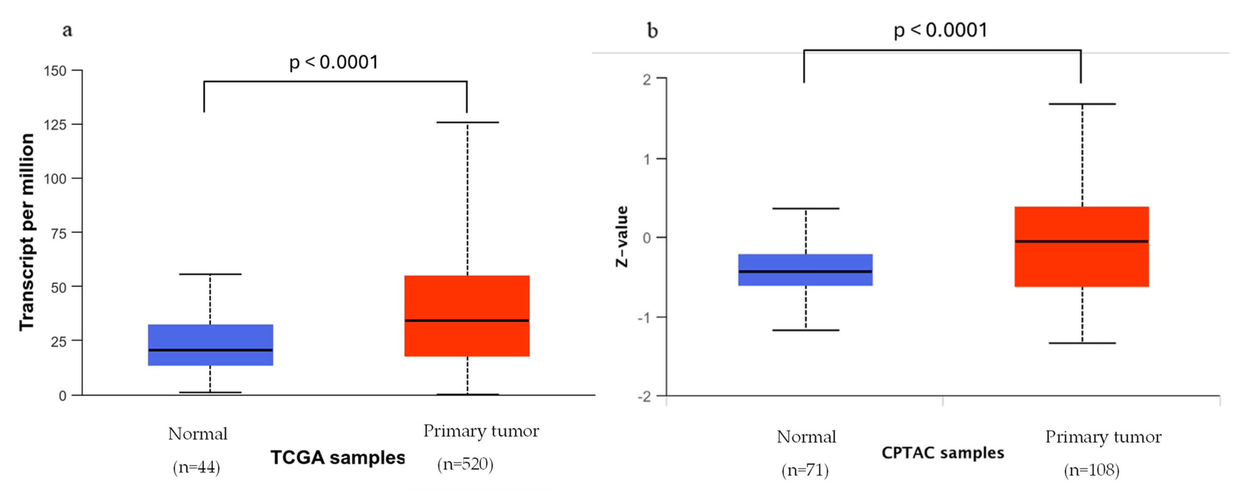 Pharmaceutics 16 01196 g005 Pharmaceutics 16 01196 g005
