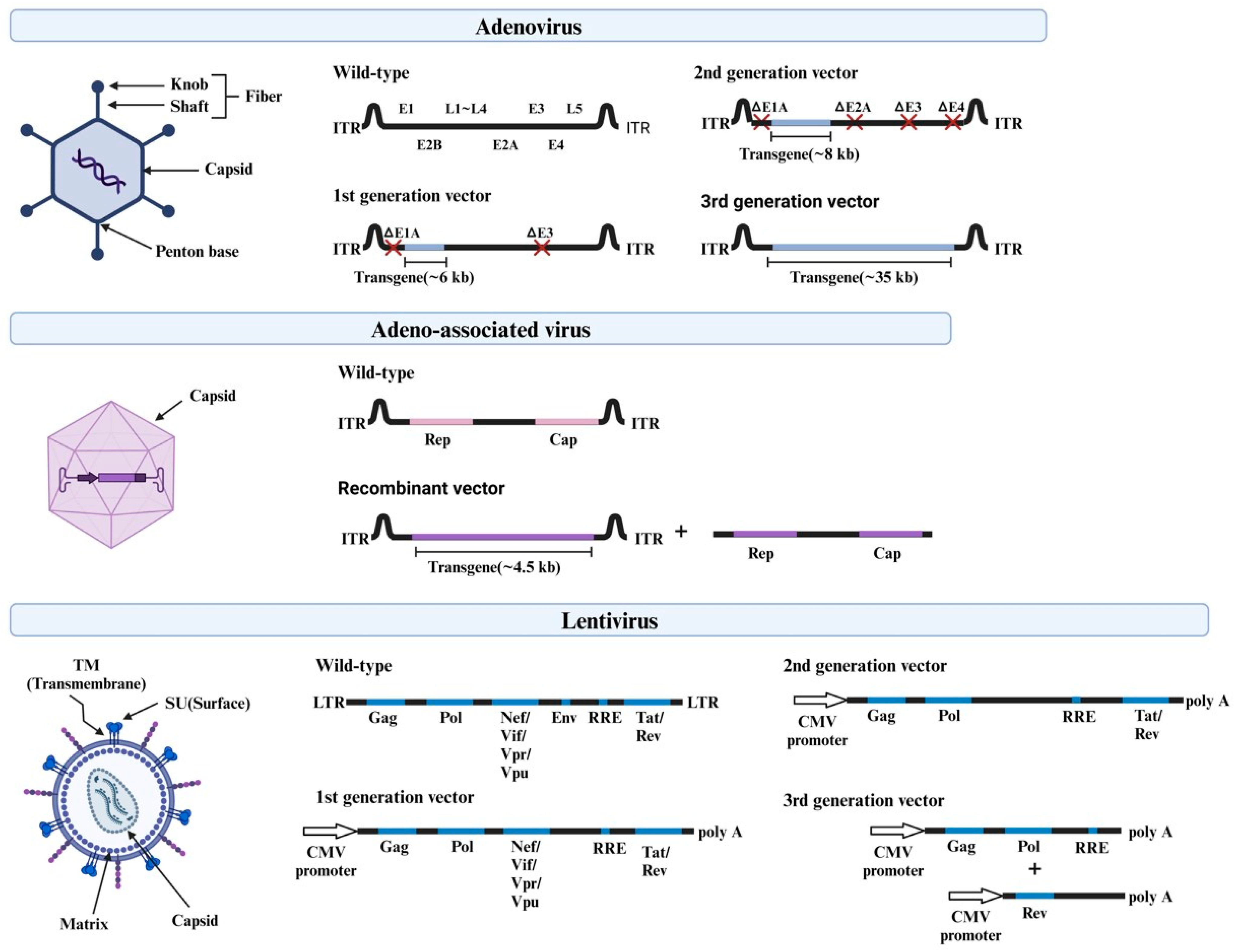 Pharmaceutics 16 01197 g004