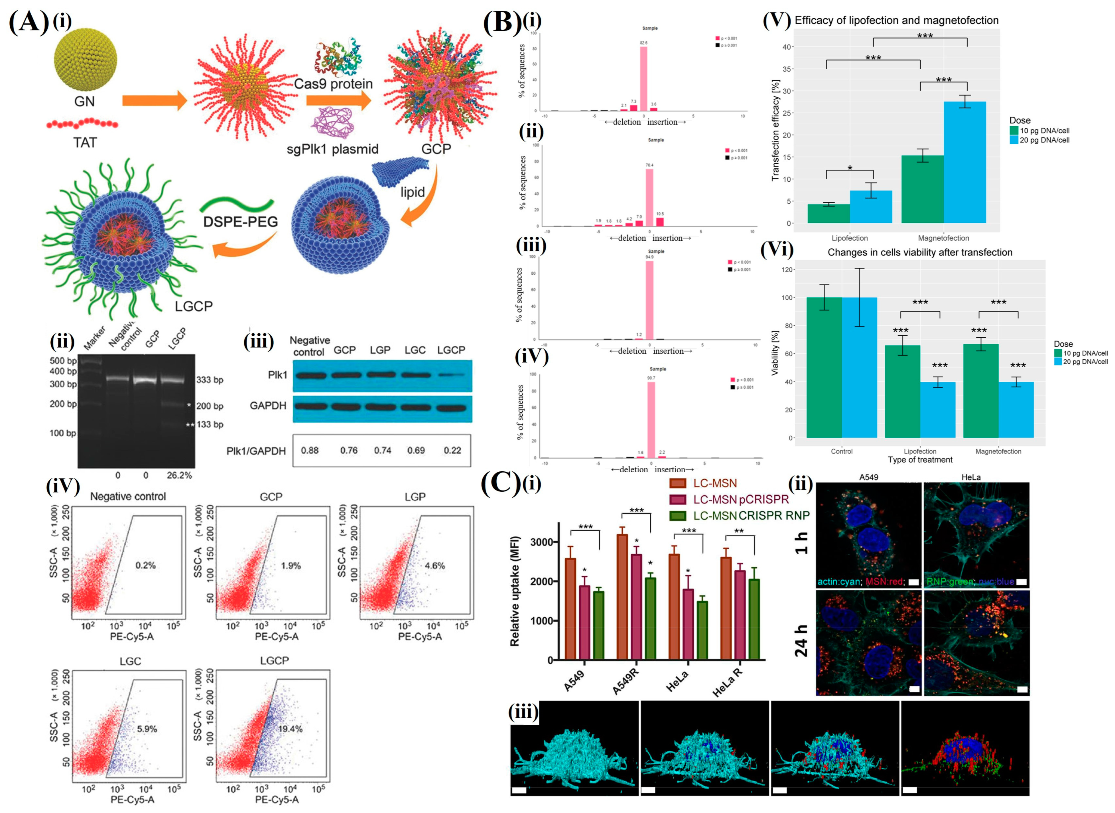 Pharmaceutics 16 01197 g007