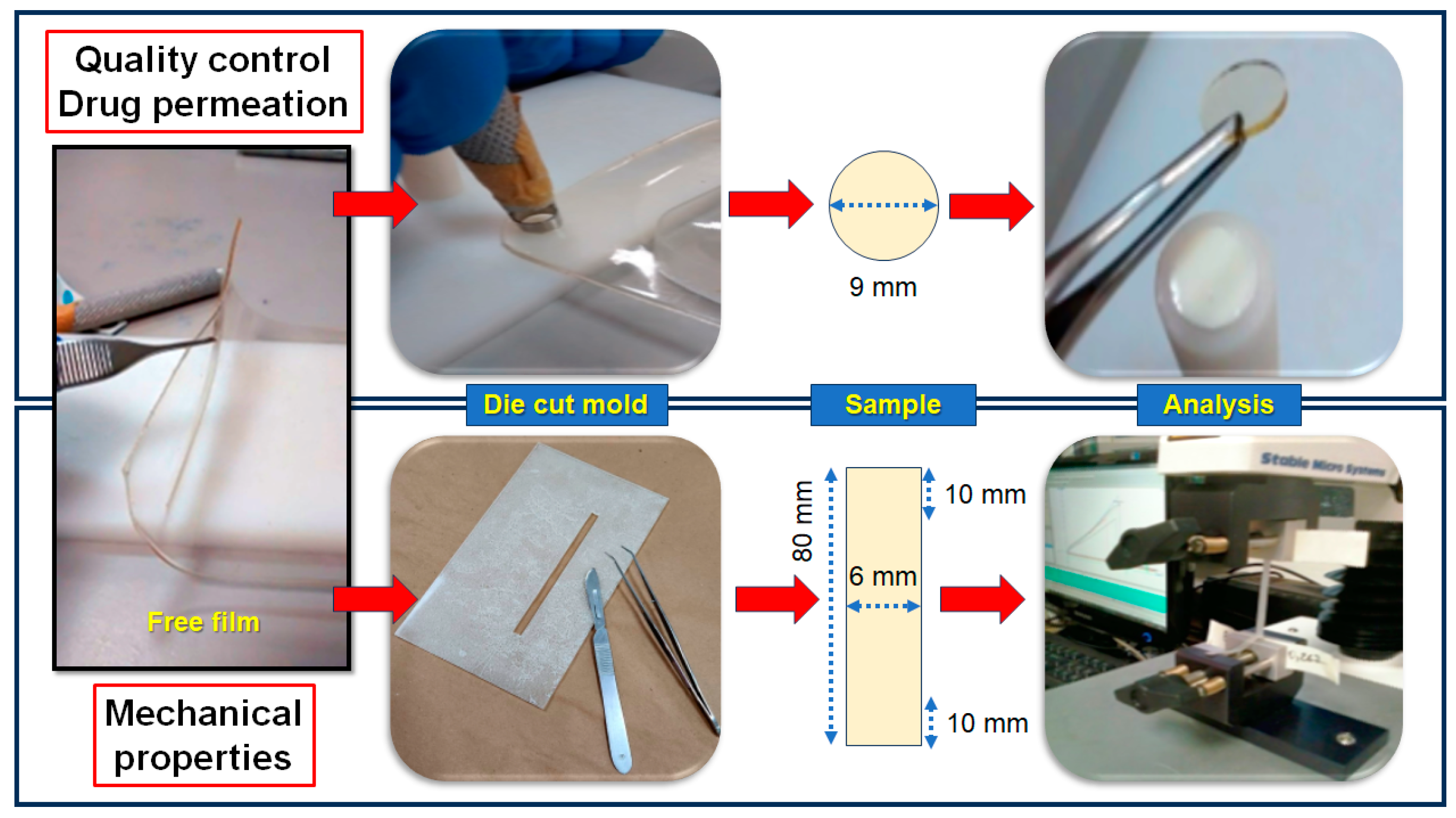 Pharmaceutics 16 01198 g001 Pharmaceutics 16 01198 g001