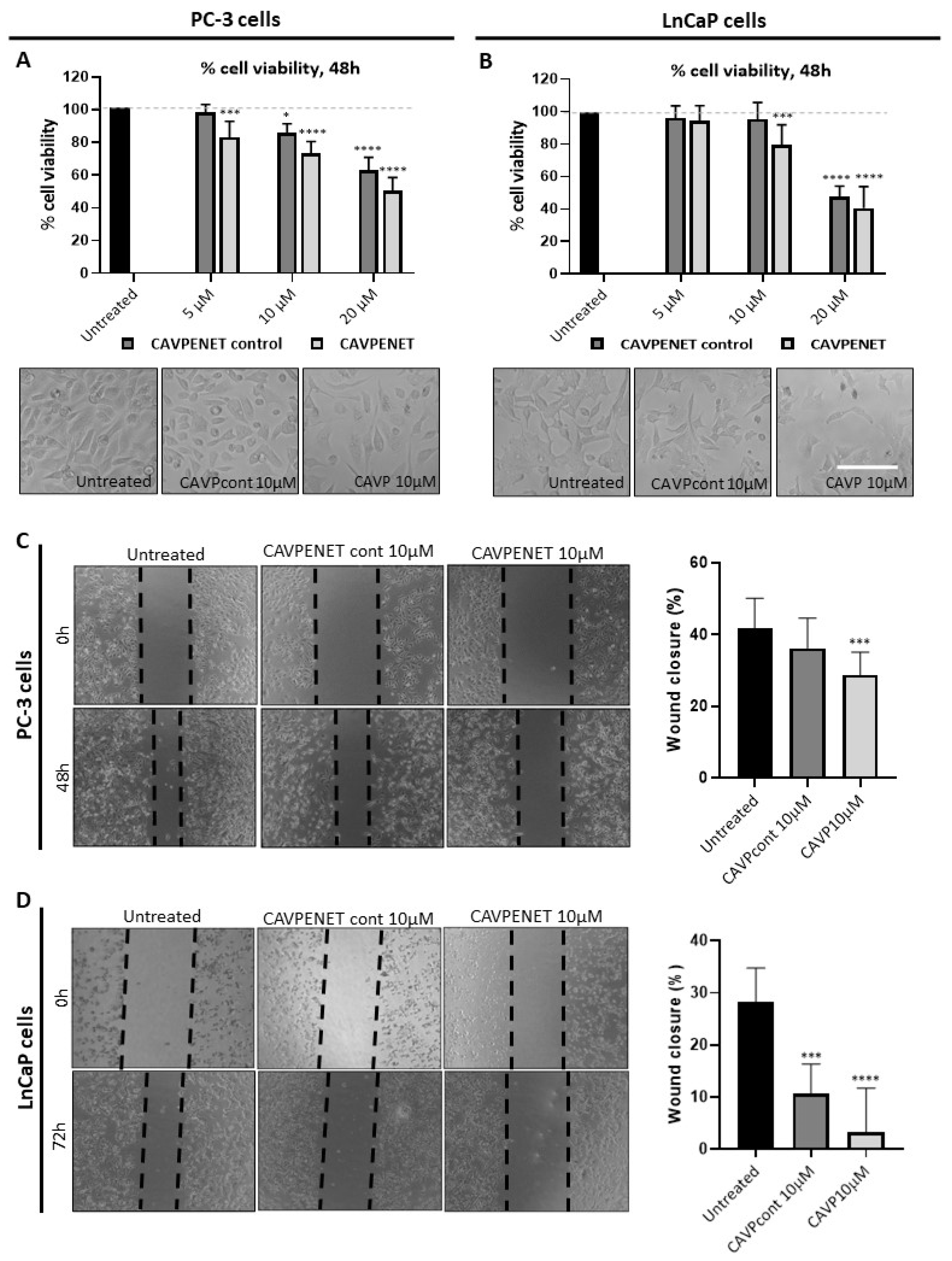 Pharmaceutics 16 01199 g002 Pharmaceutics 16 01199 g002