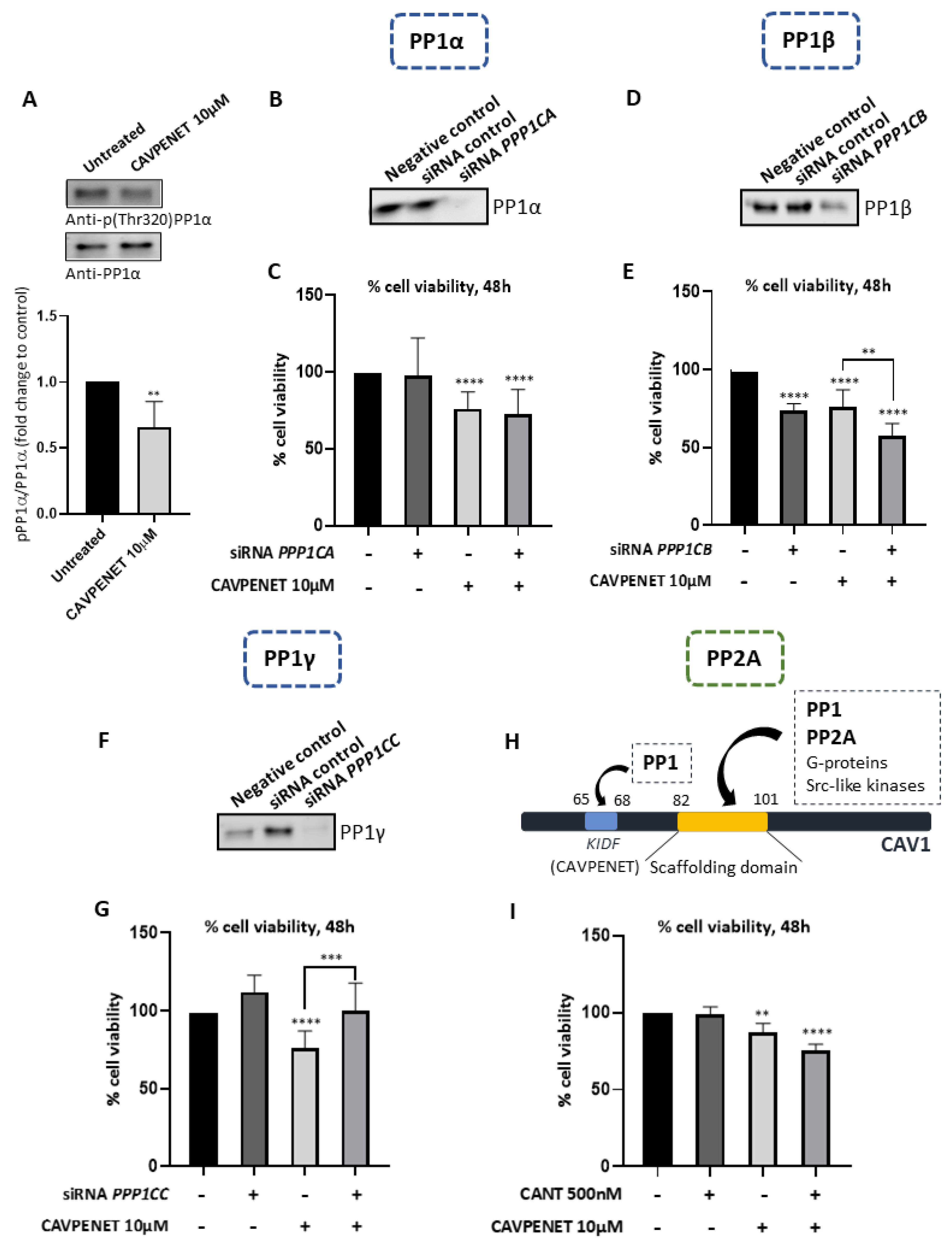 Pharmaceutics 16 01199 g005 Pharmaceutics 16 01199 g005