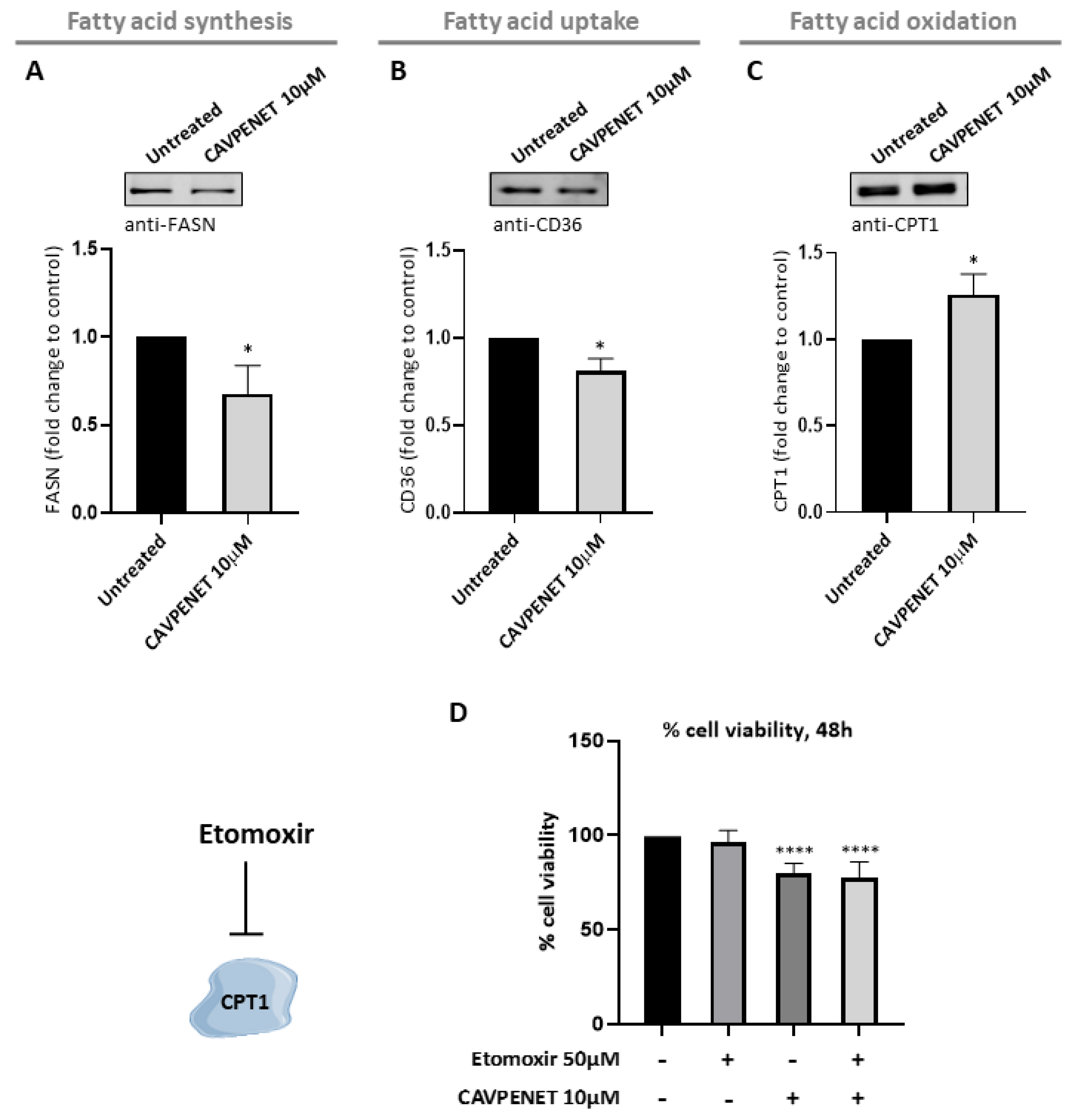 Pharmaceutics 16 01199 g007 Pharmaceutics 16 01199 g007