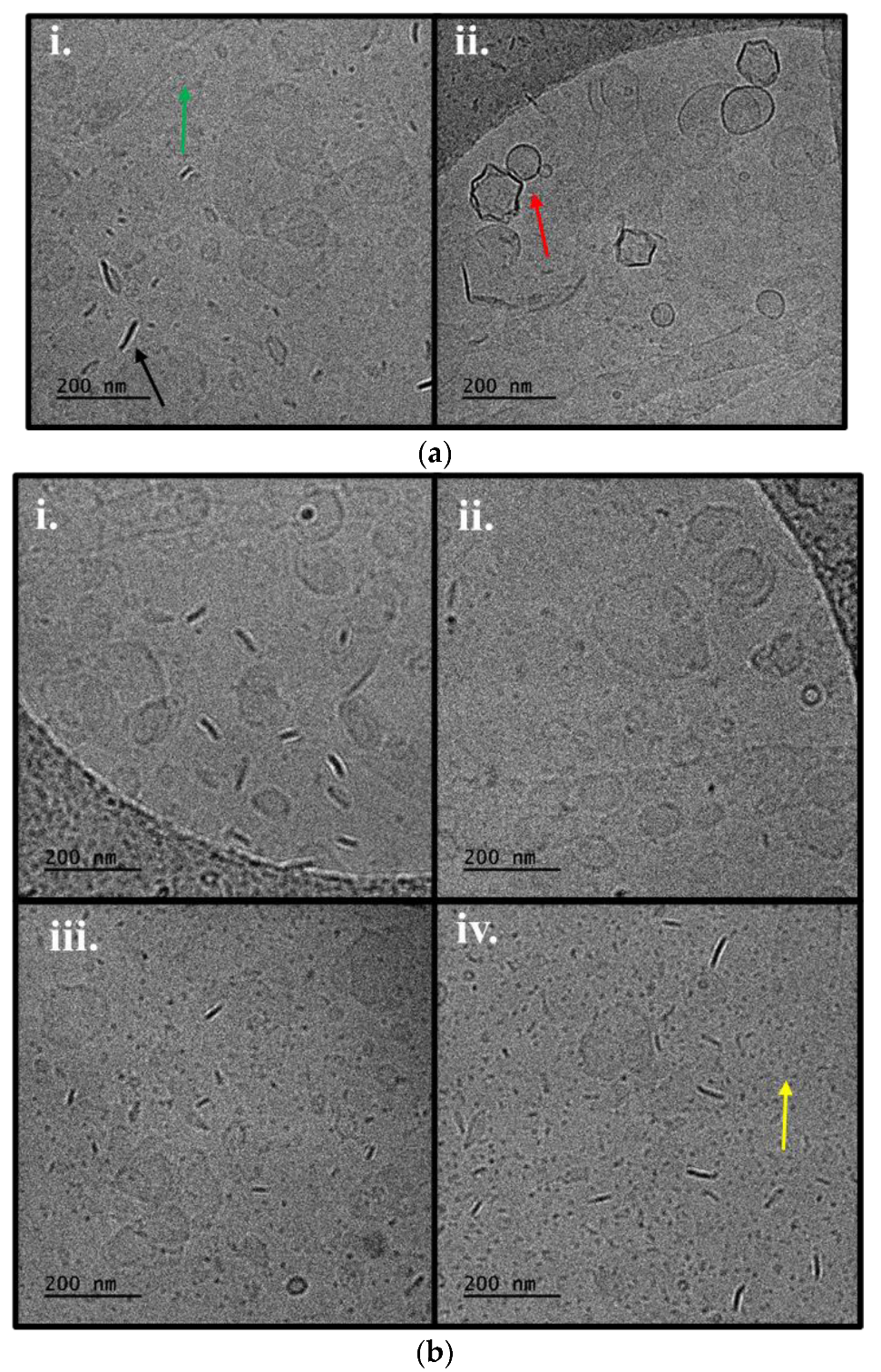 Pharmaceutics 16 01204 g005