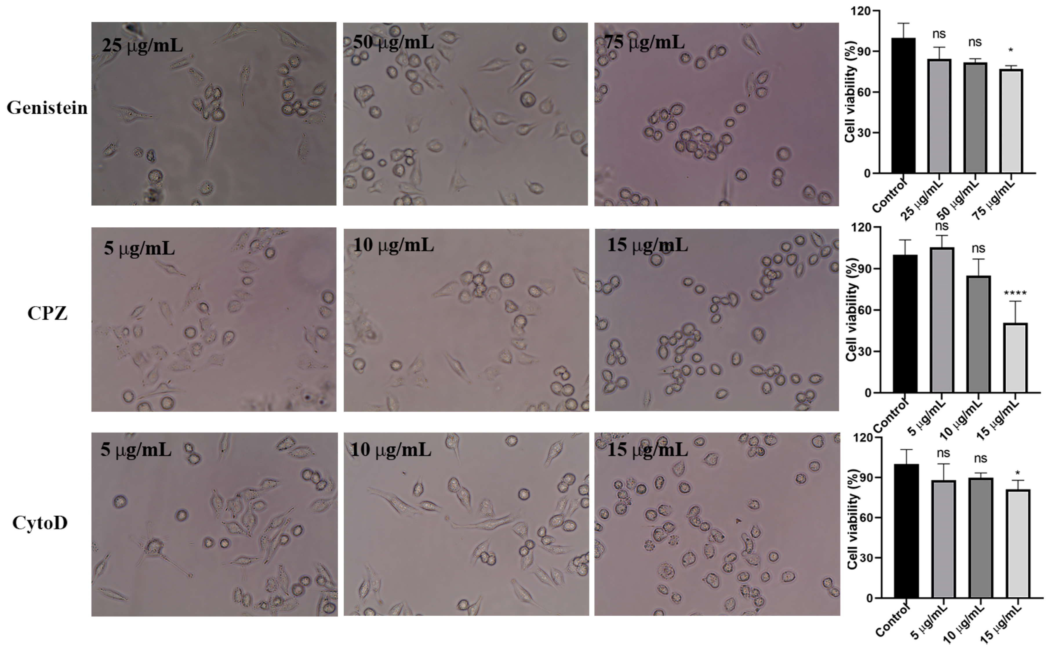 Pharmaceutics 16 01206 g006